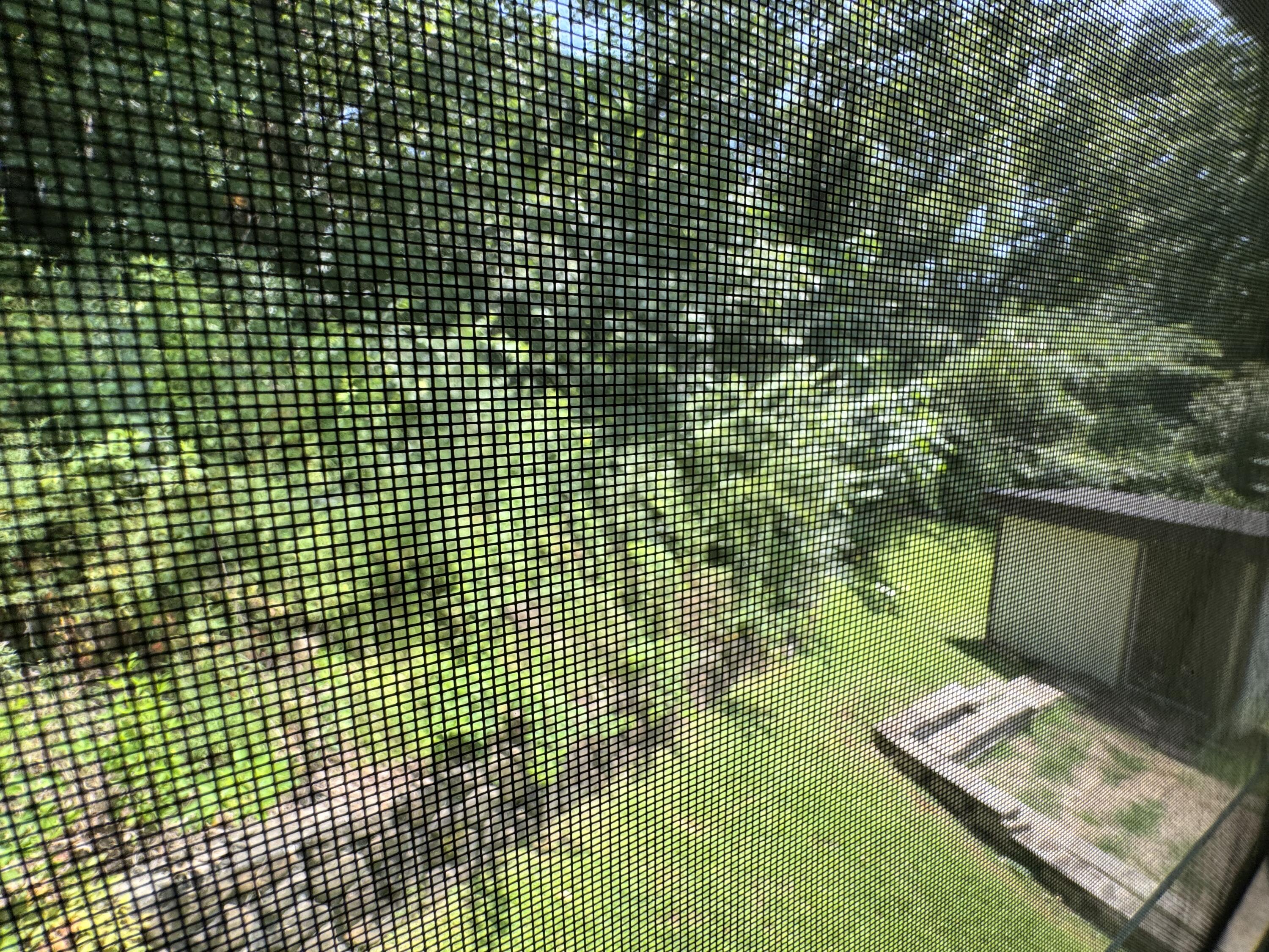 311 Branch Drive