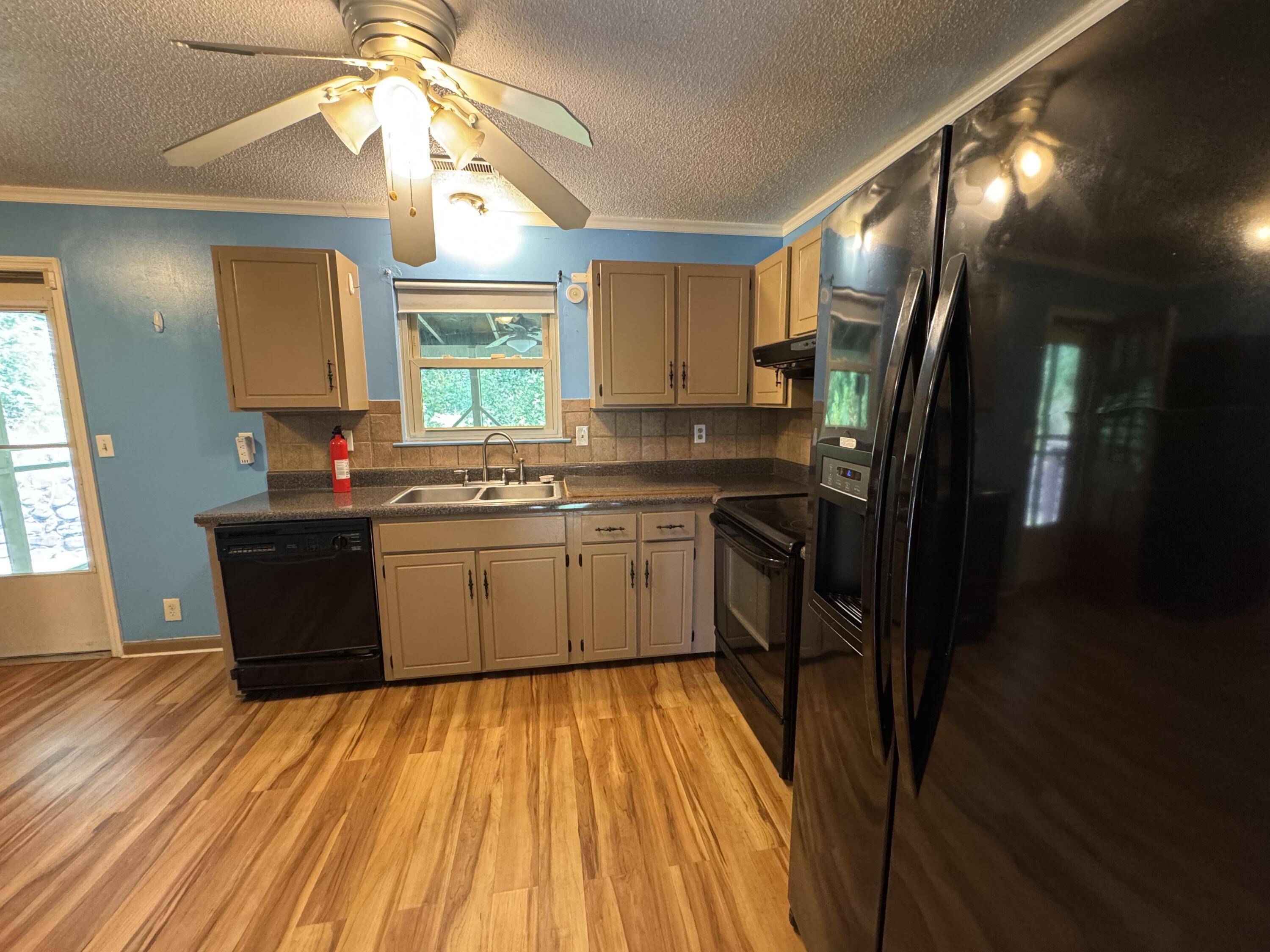 311 Branch Drive