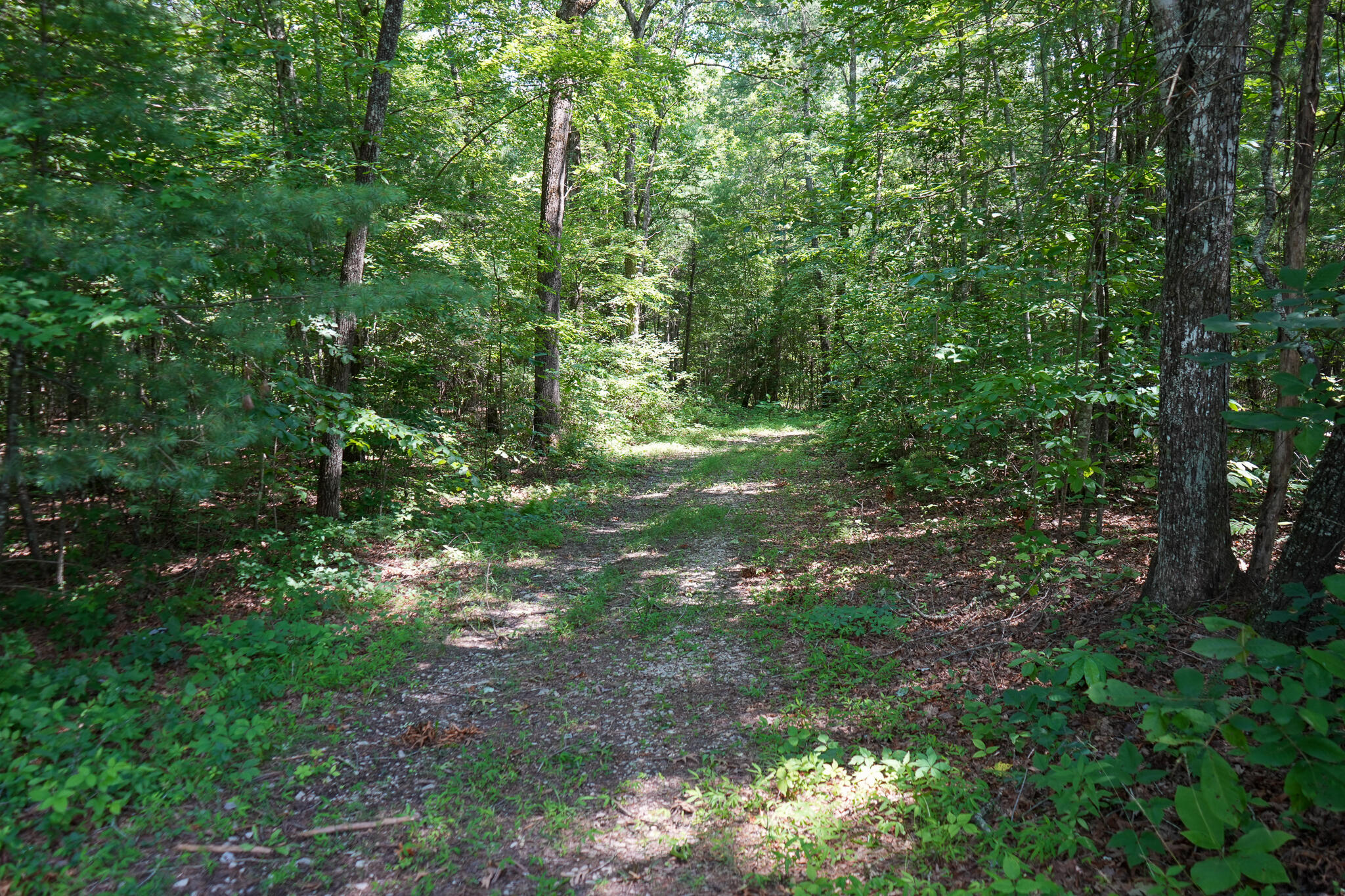0 Hemlock Bluff Way, Lot 15