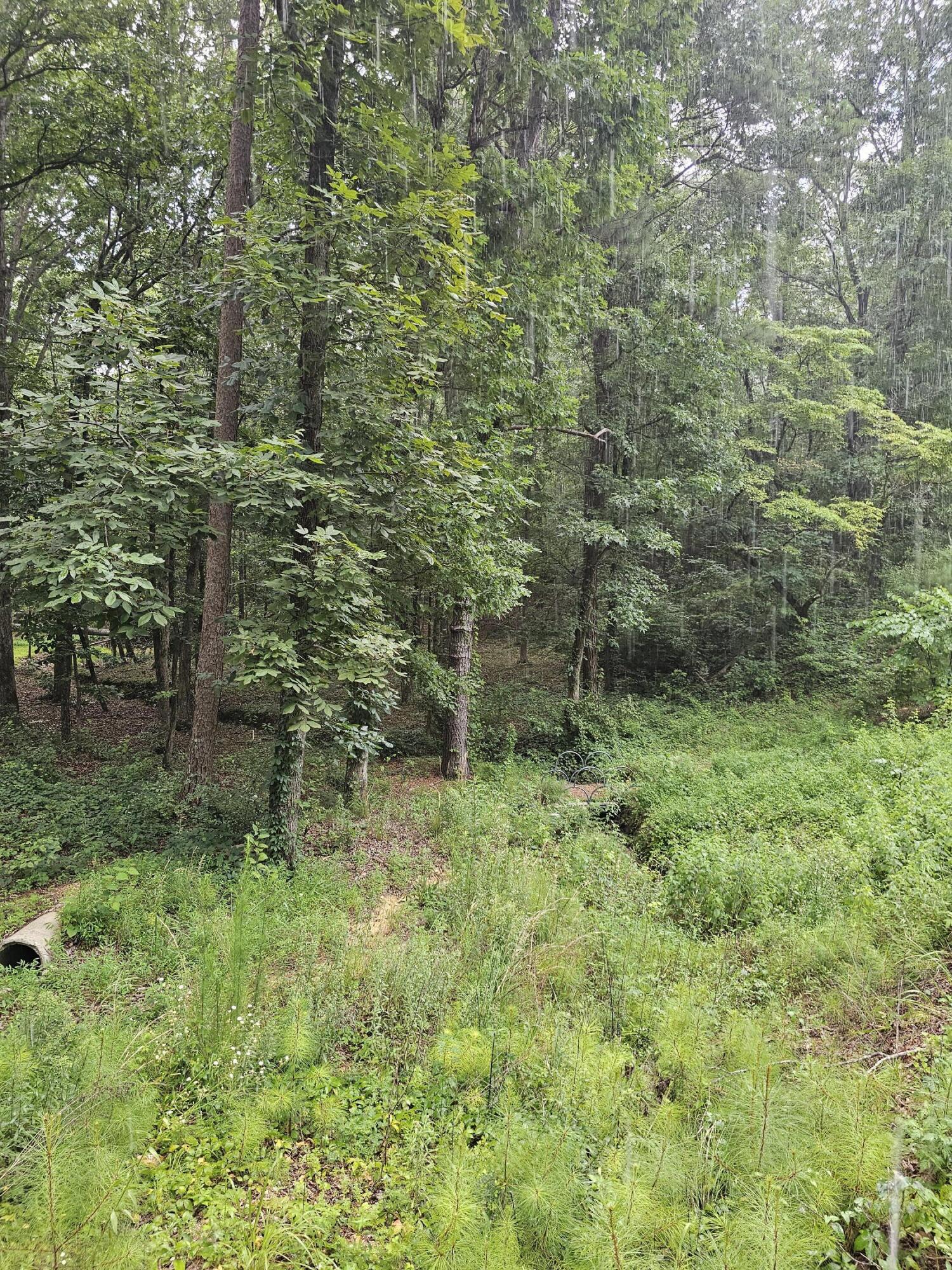 0 Pineywood Drive