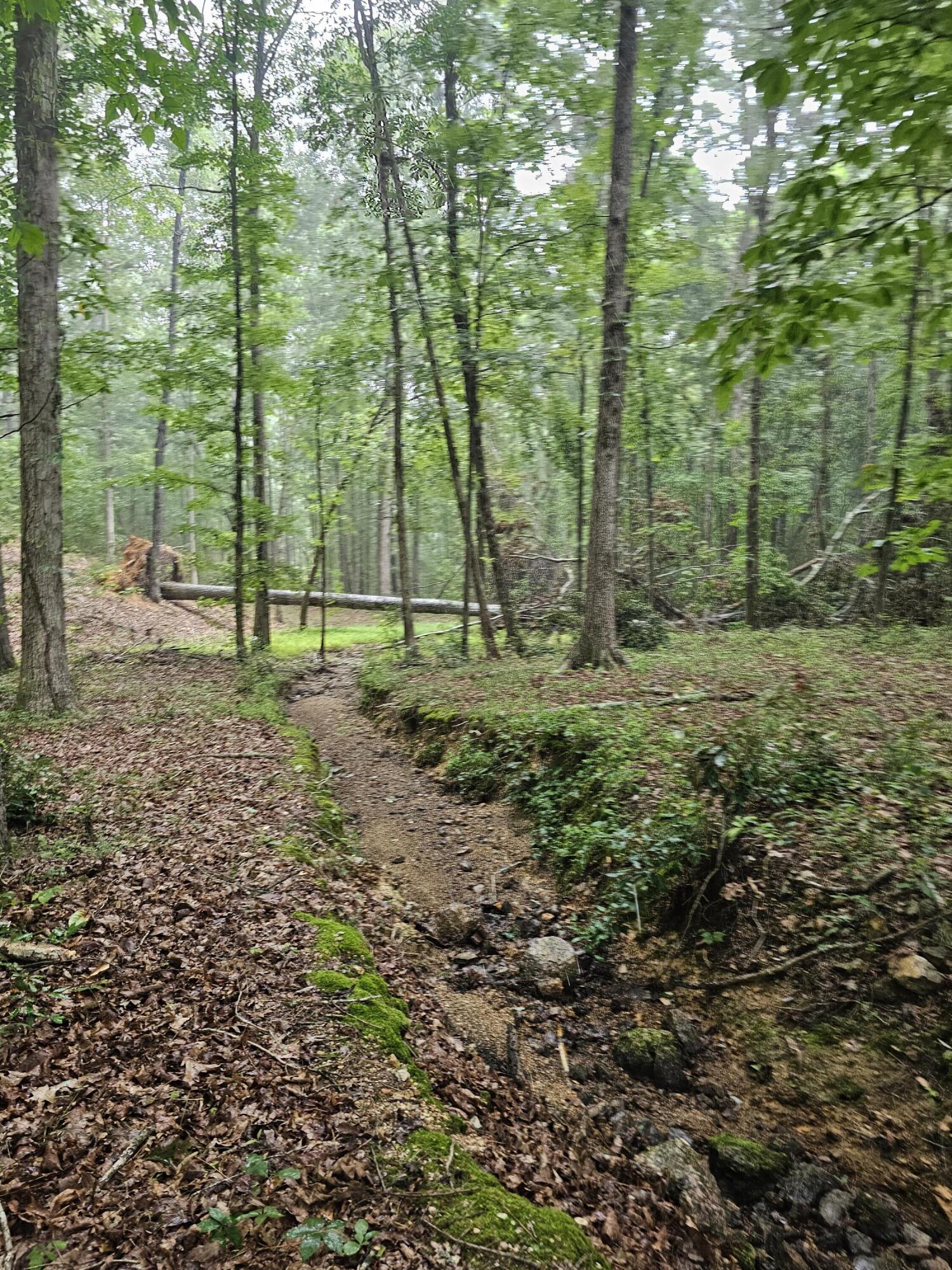 0 Pineywood Drive