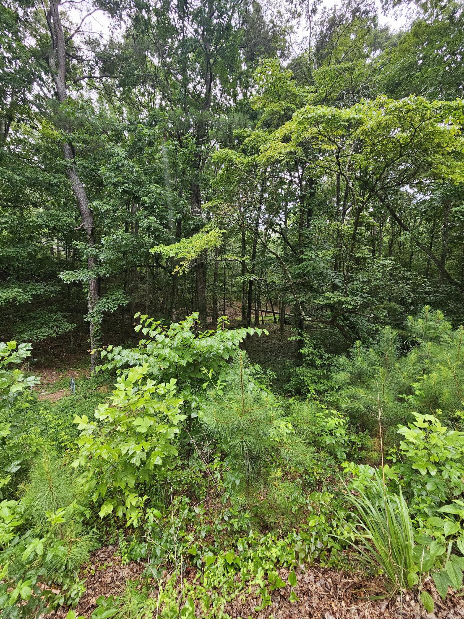 0 Pineywood Drive