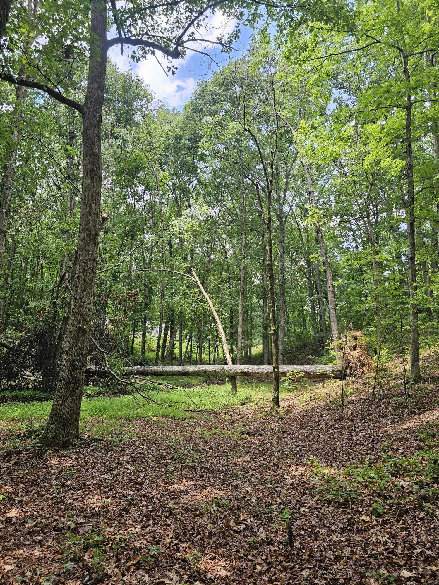 0 Pineywood Drive