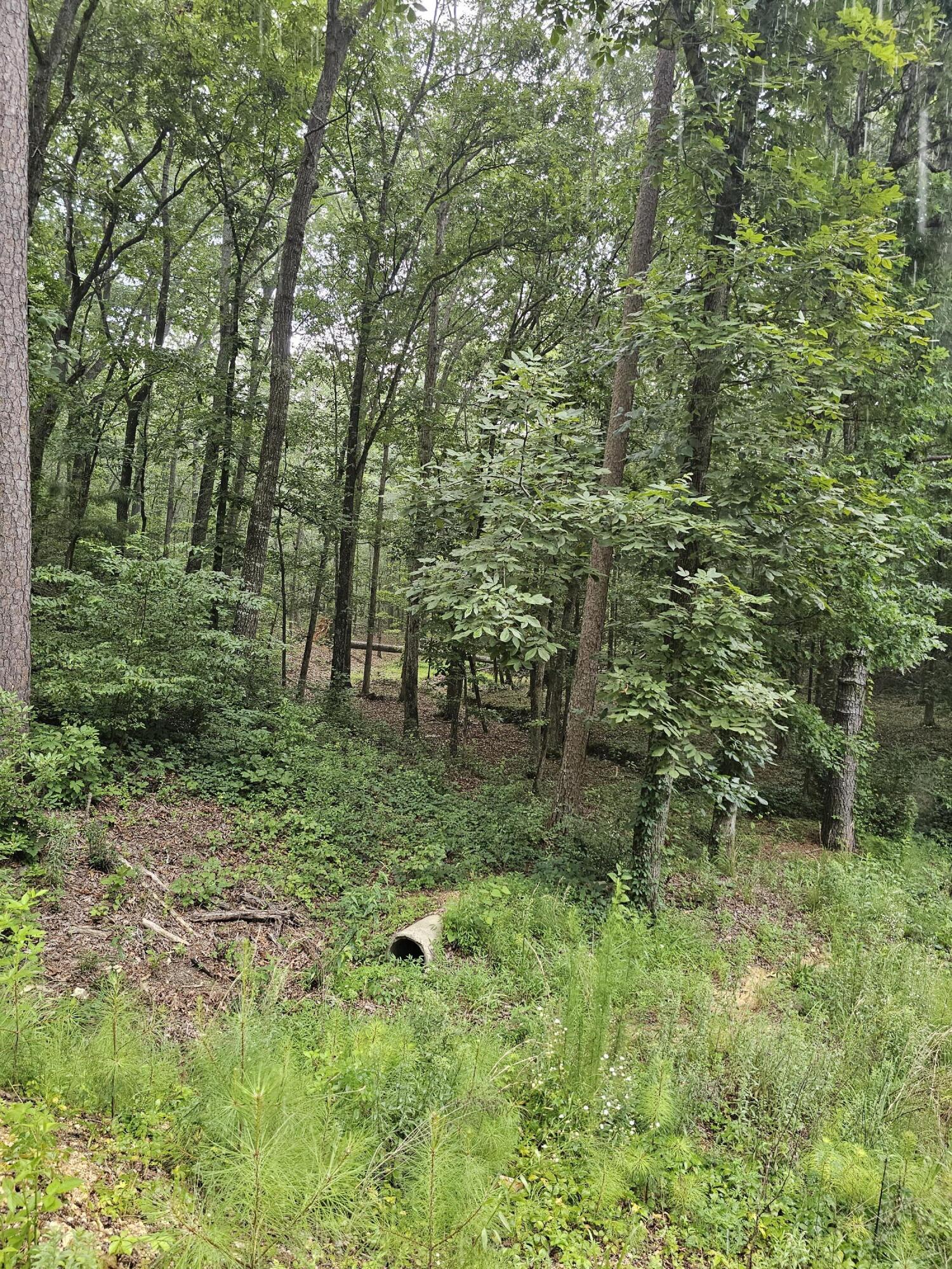0 Pineywood Drive