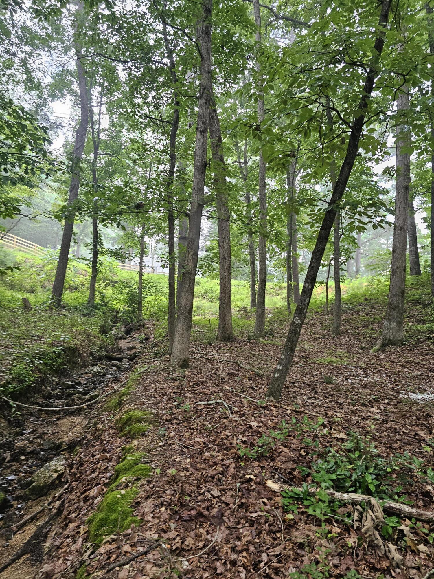 0 Pineywood Drive
