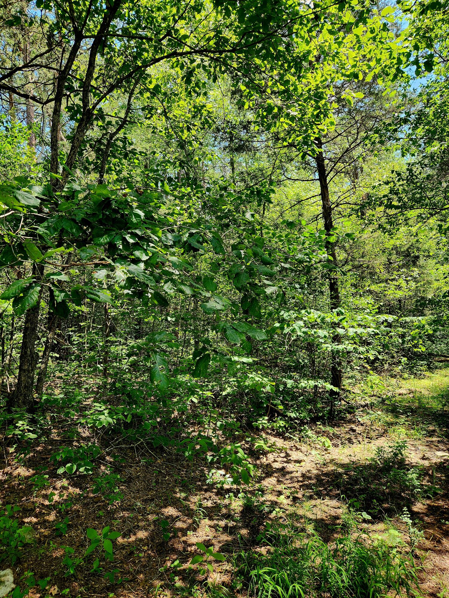 0 Valley Road, Uppr East