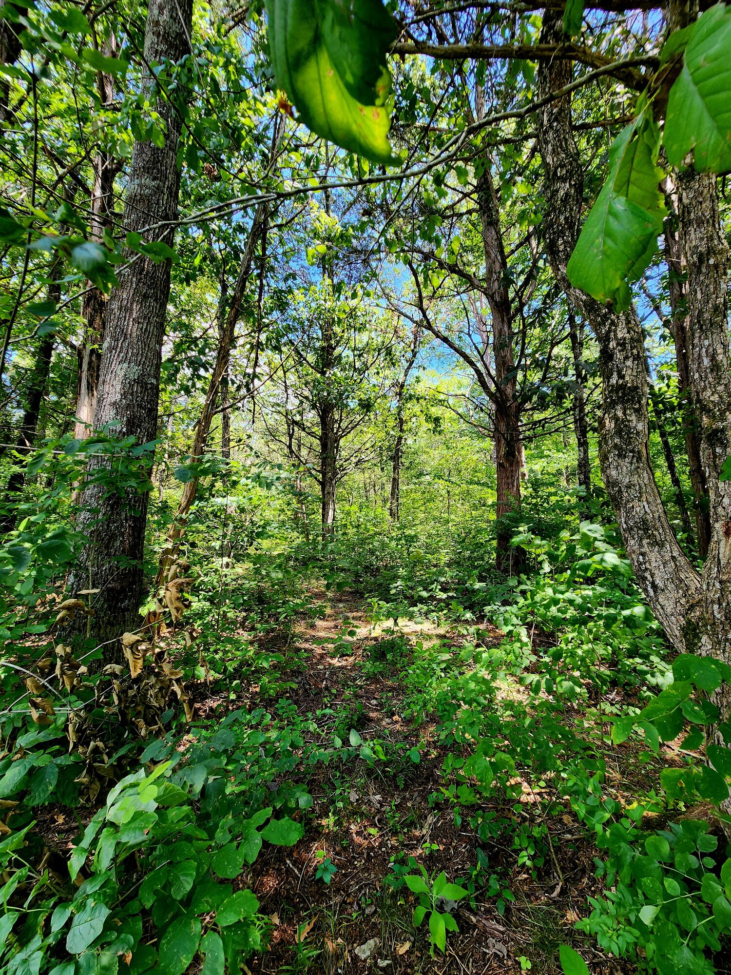 0 Valley Road, Uppr East