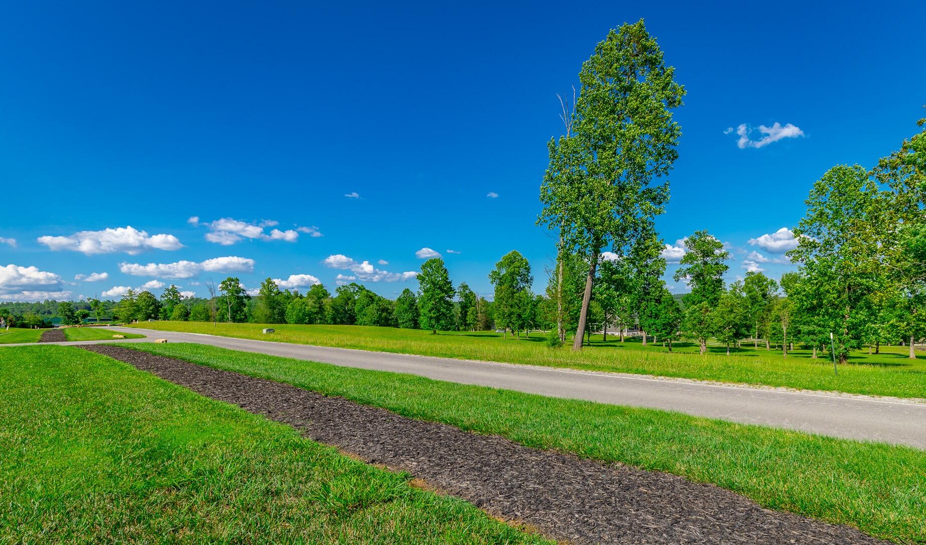 0 Jasper Highlands River Bluffs Drive
