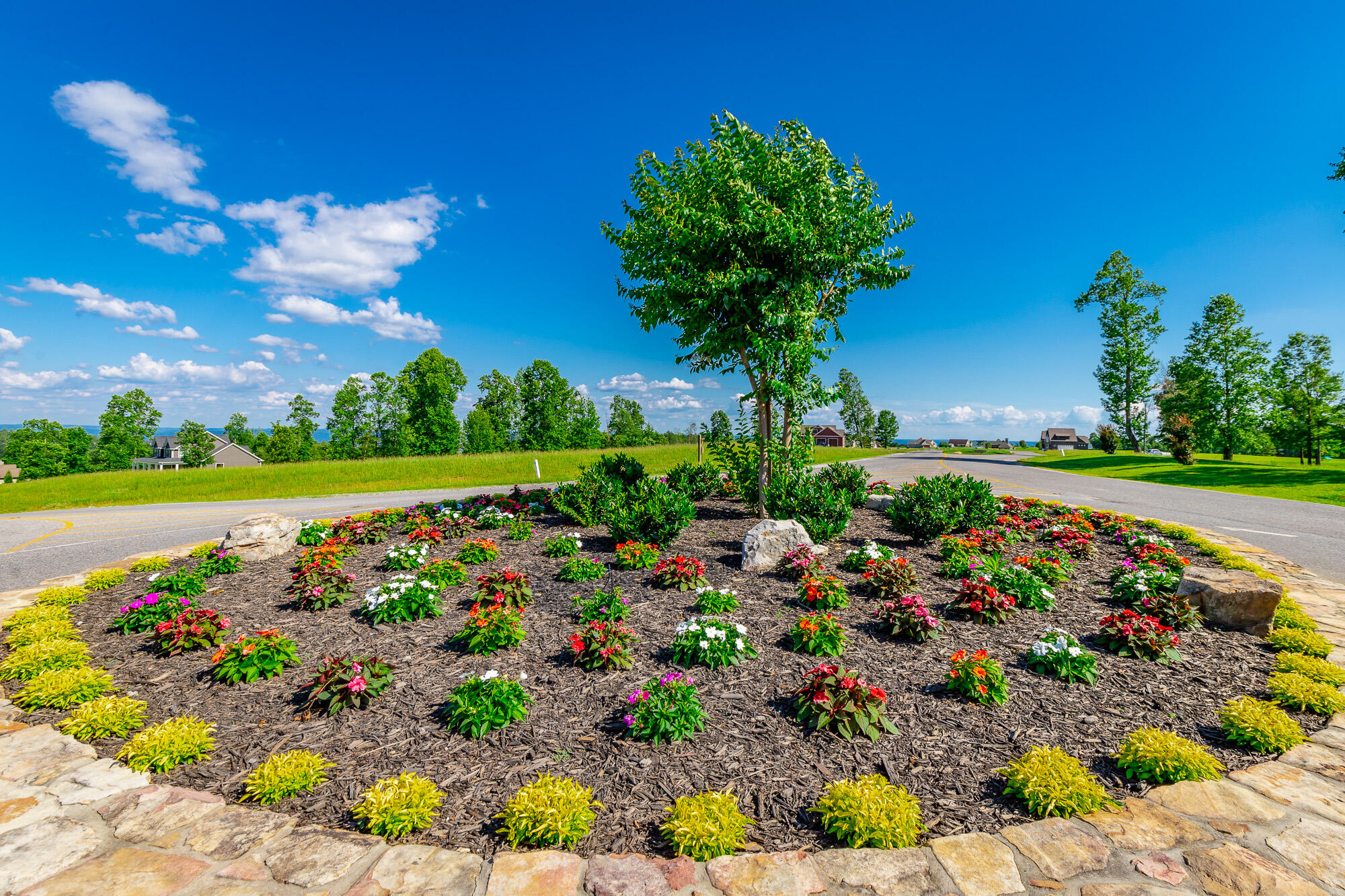 0 Jasper Highlands River Bluffs Drive