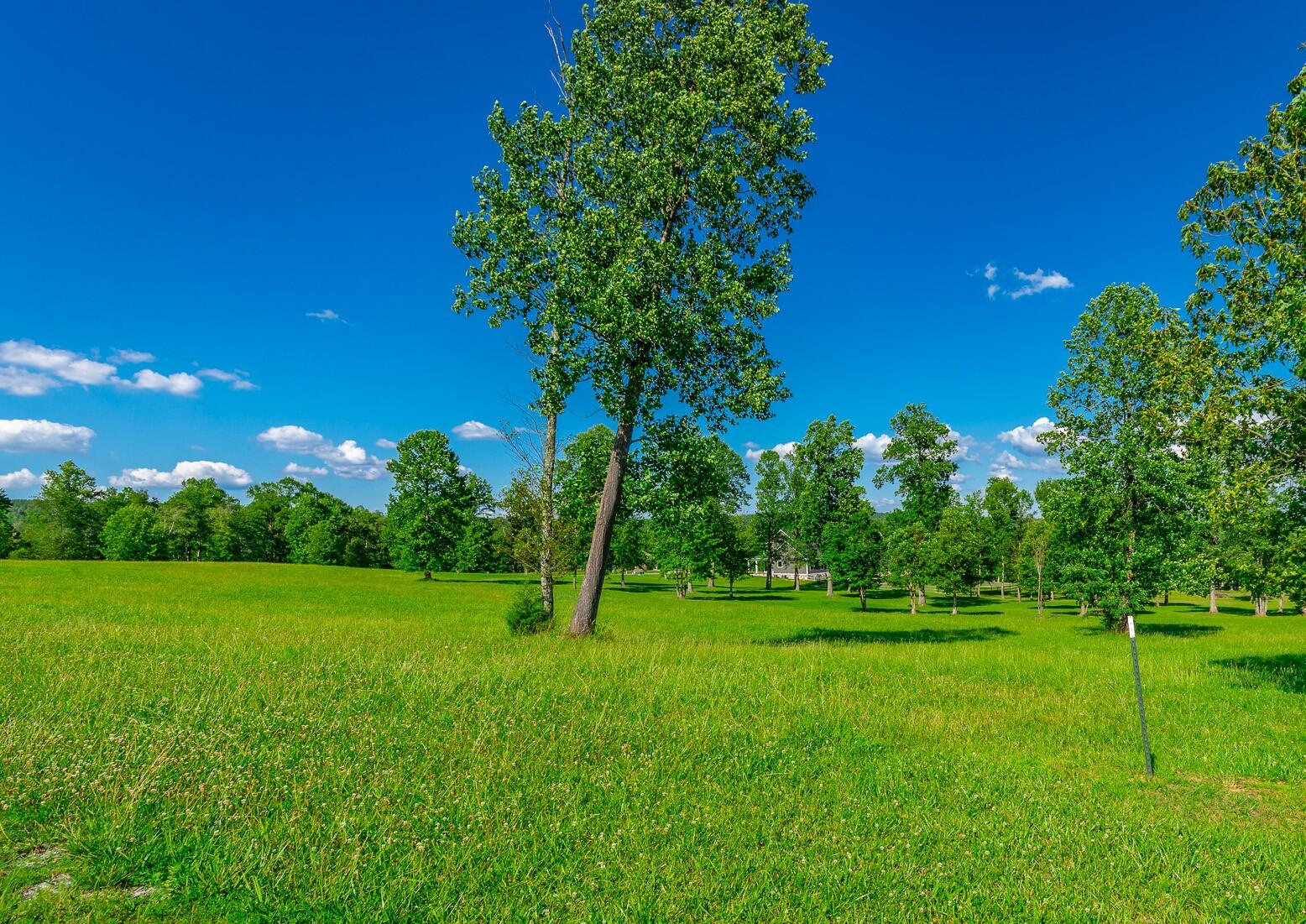0 Jasper Highlands River Bluffs Drive