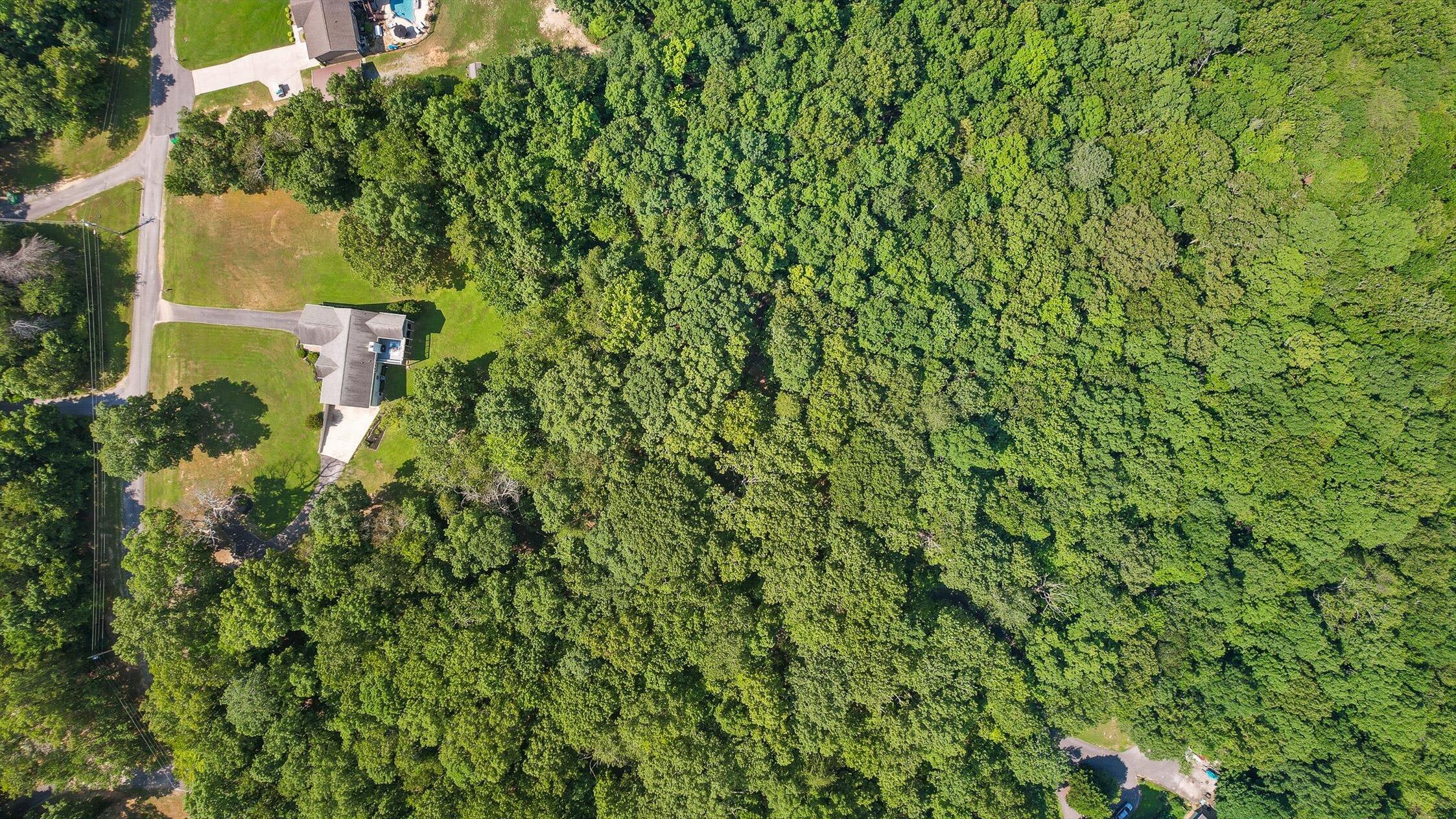 6233 Brenda Court