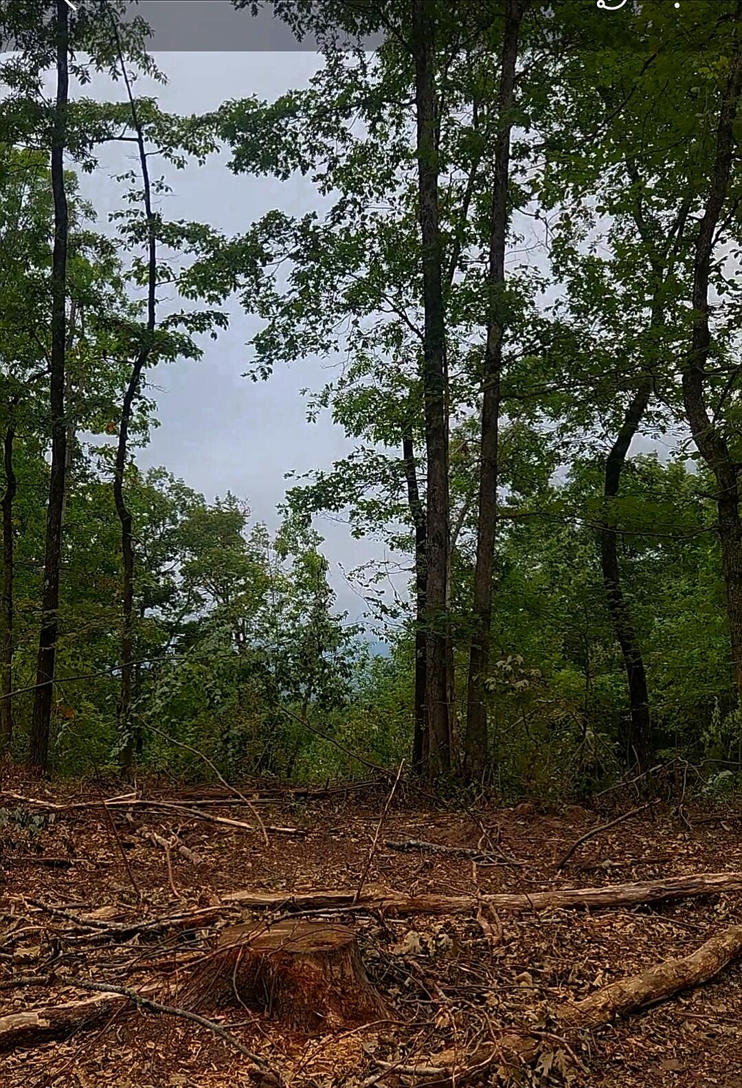 0 S Pittsburg Mountain Road