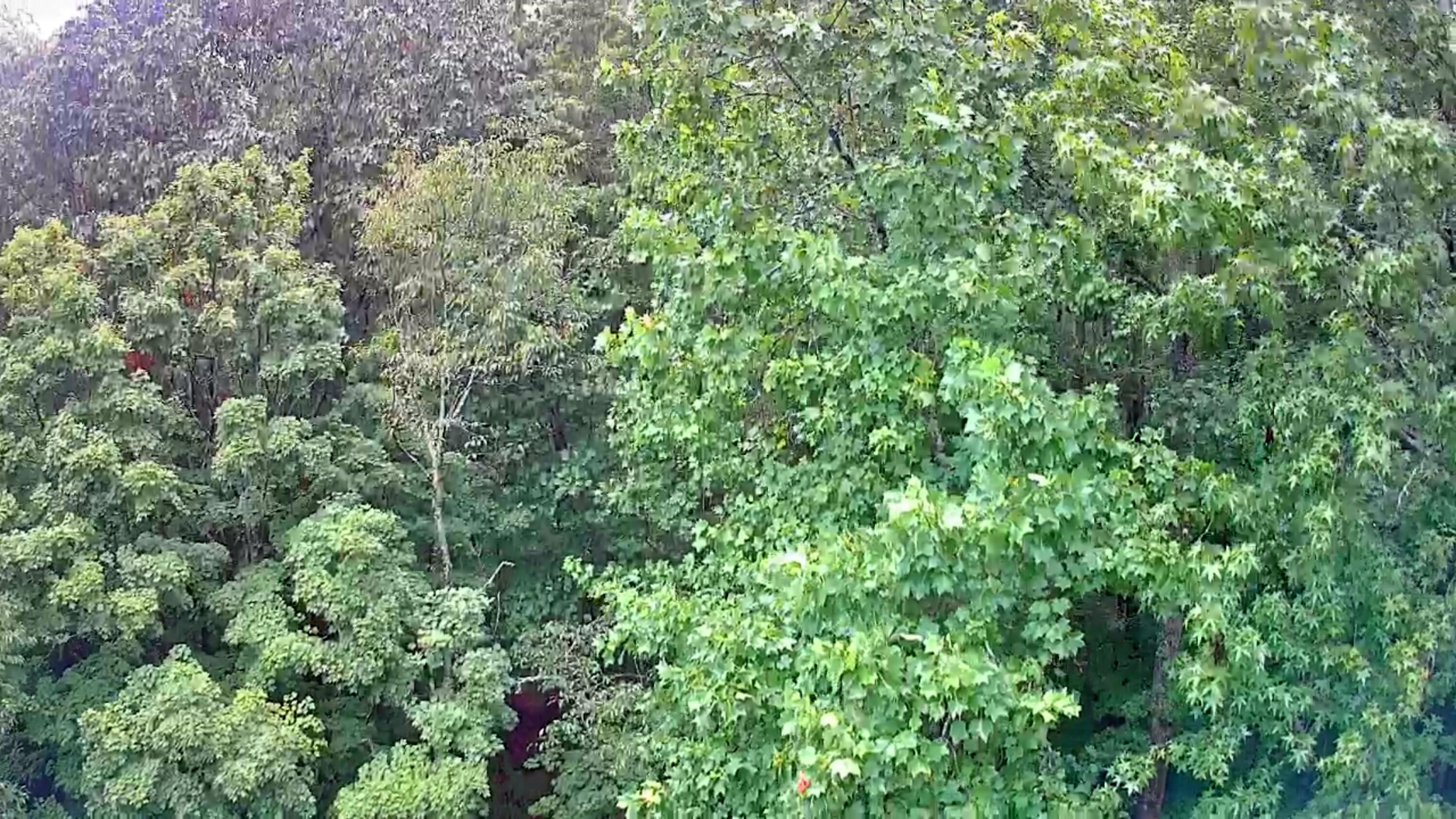 0 S Pittsburg Mountain Road