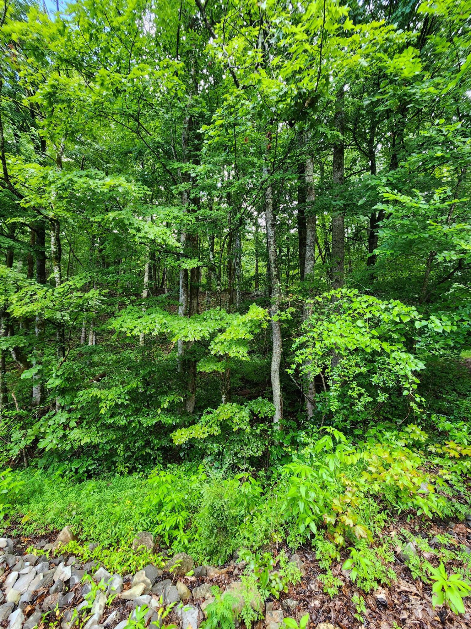 0 S Pittsburg Mountain Road