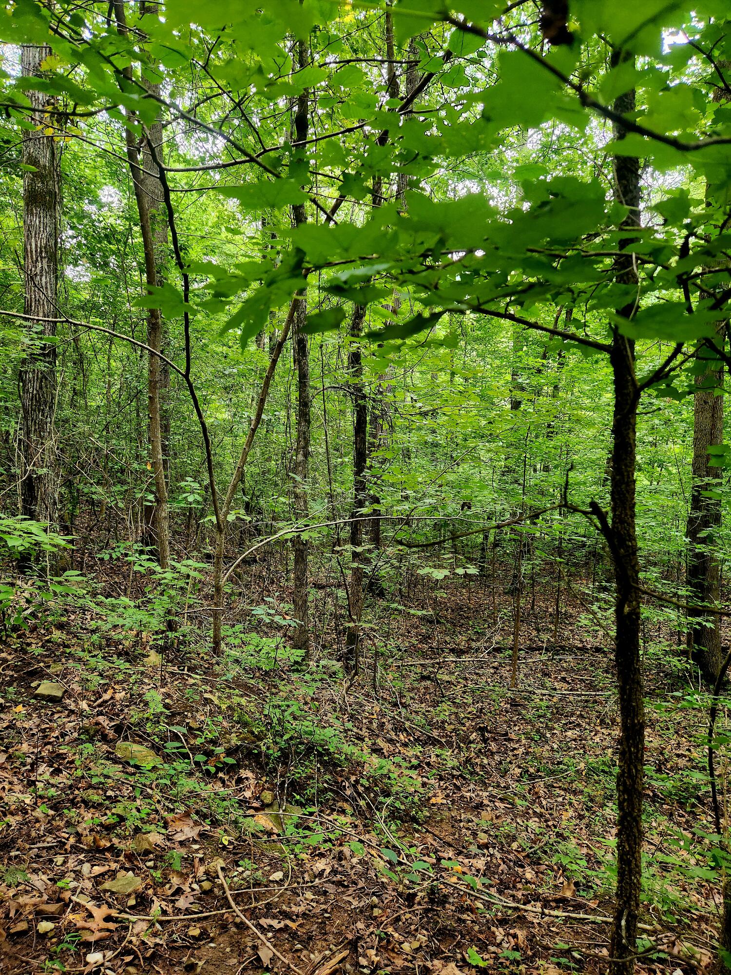 0 S Pittsburg Mountain Road