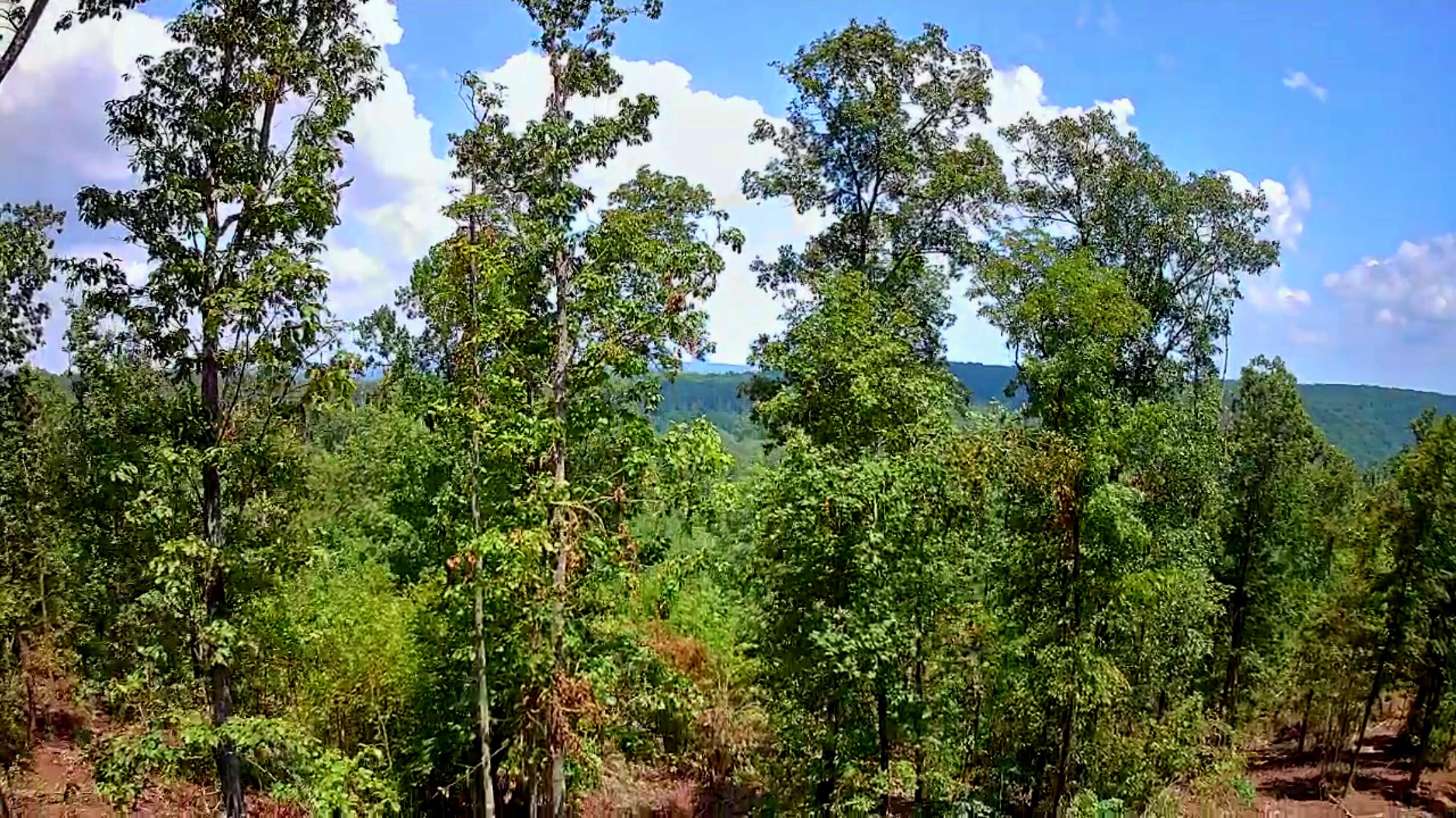 0 S Pittsburg Mountain Road