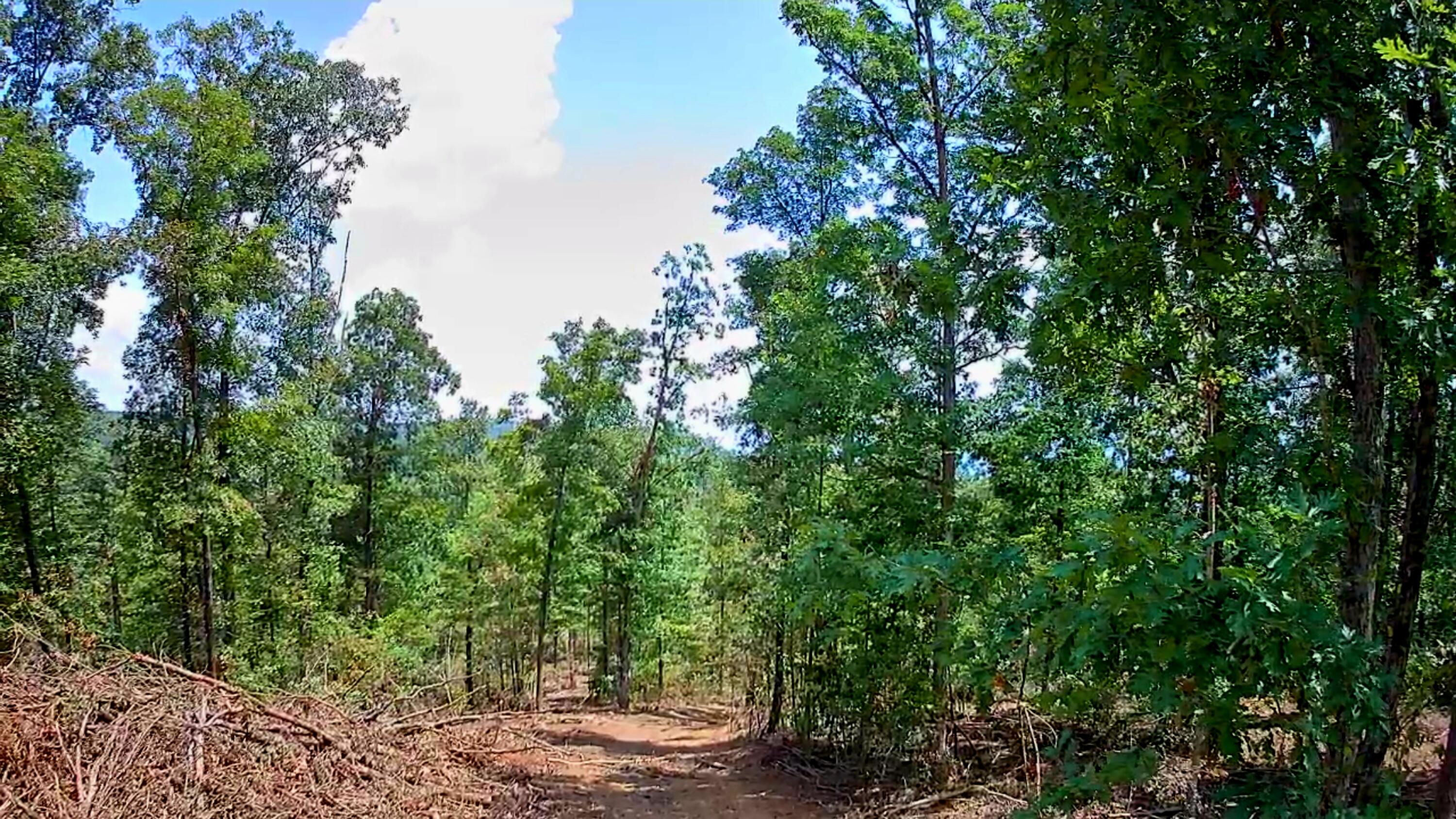 0 S Pittsburg Mountain Road