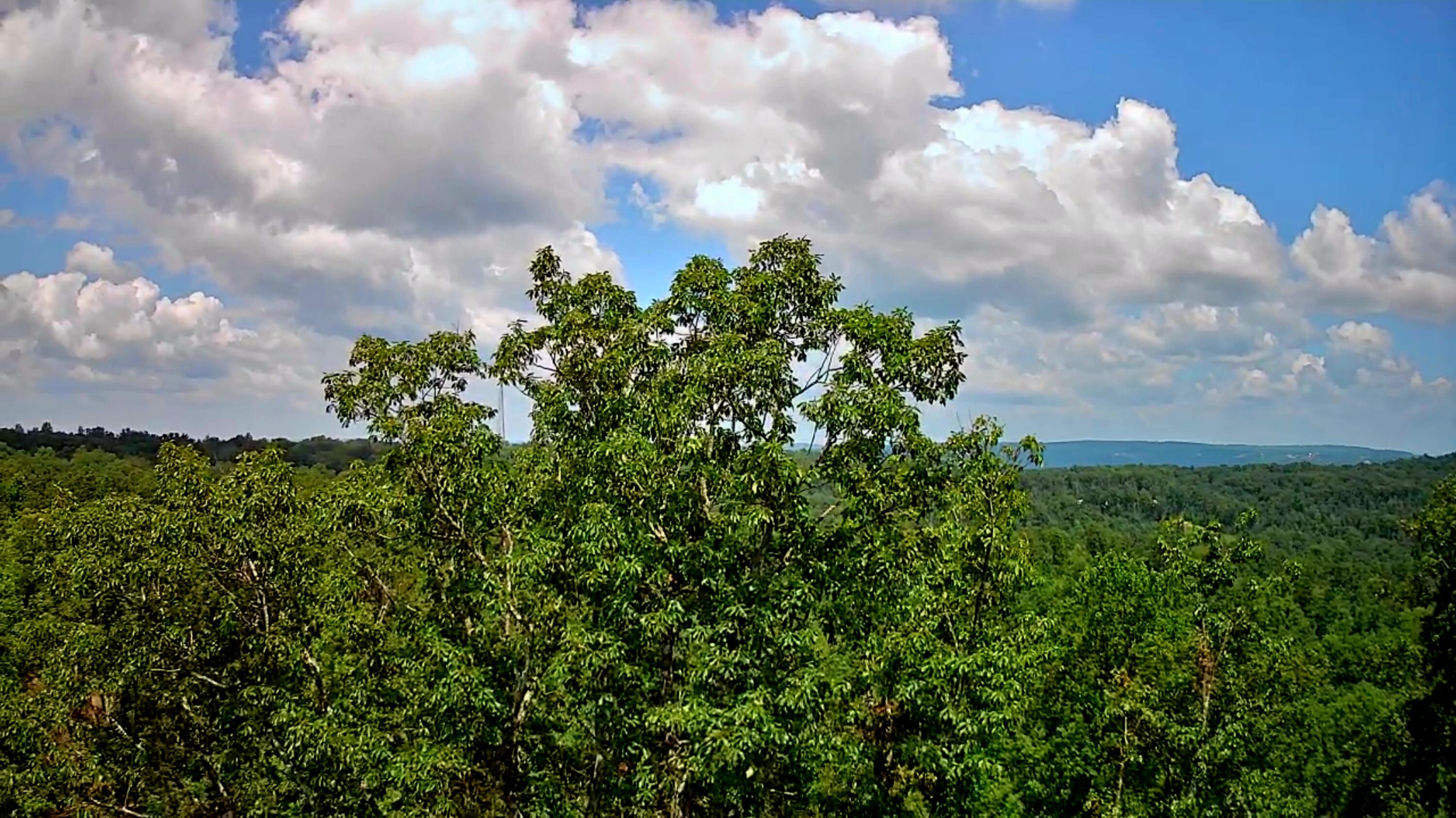 0 S Pittsburg Mountain Road