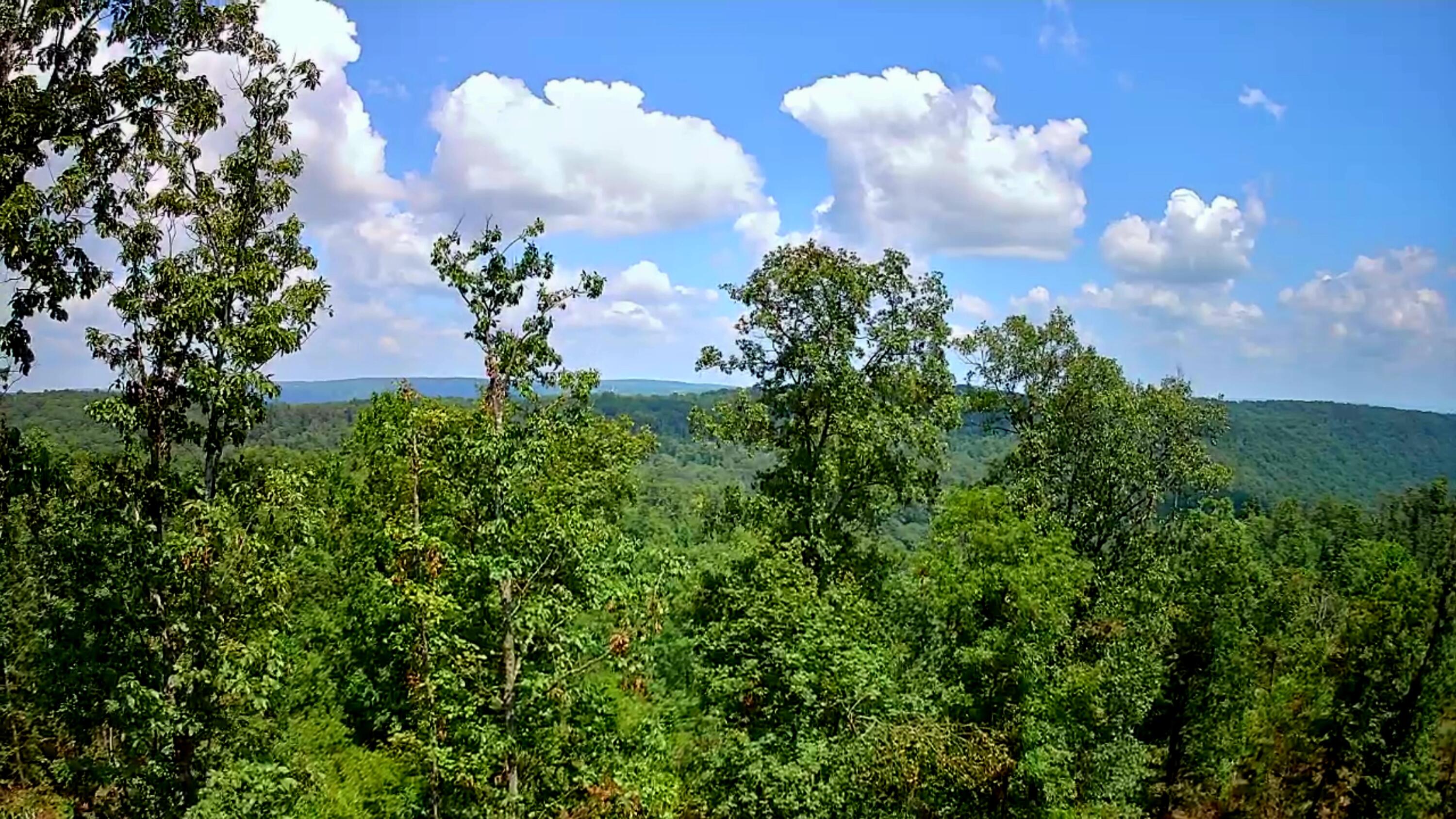 0 S Pittsburg Mountain Road