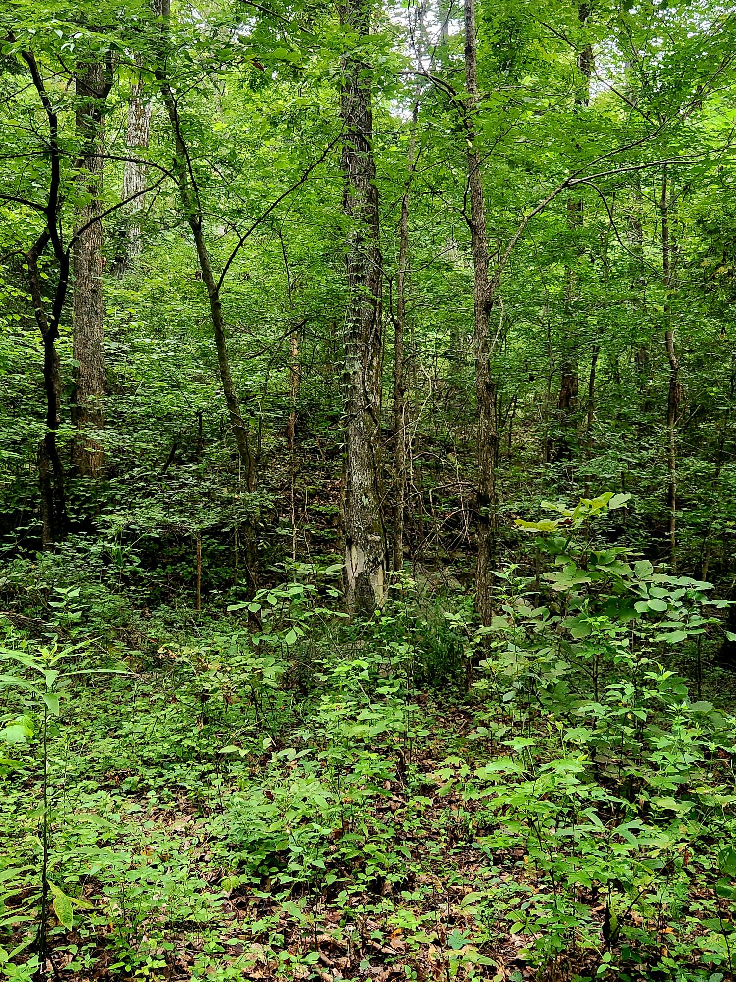 0 S Pittsburg Mountain Road