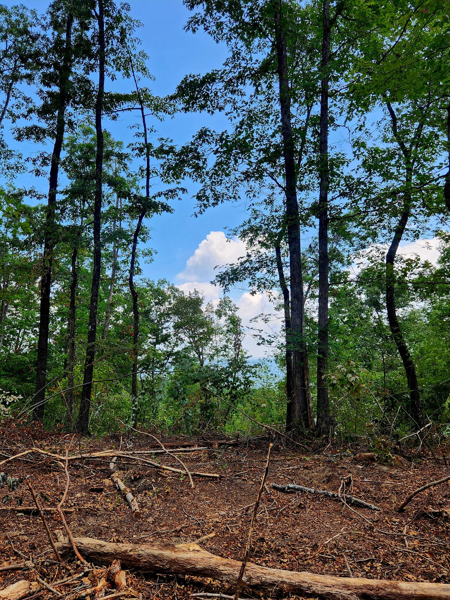 0 S Pittsburg Mountain Road