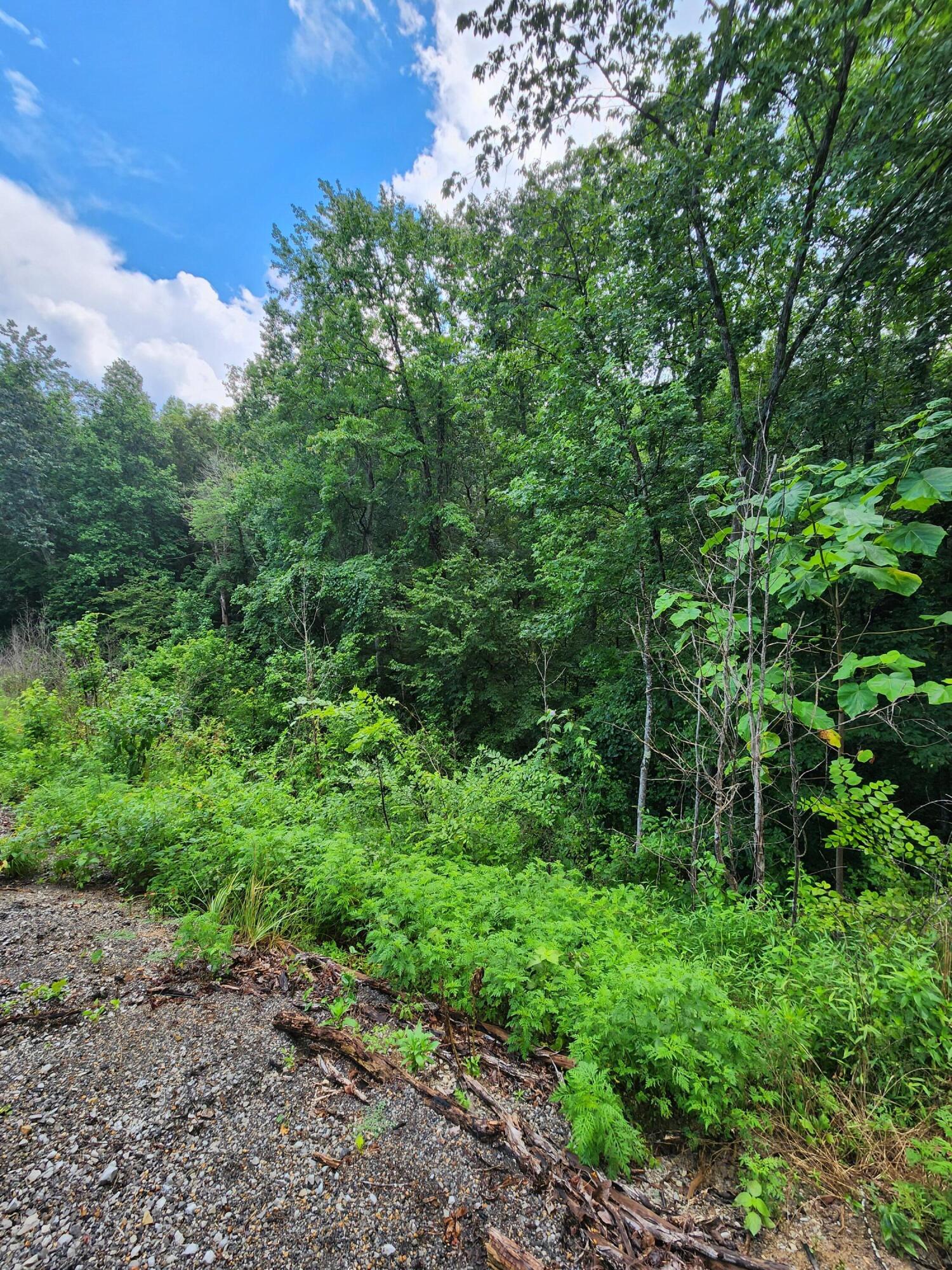 0 S Pittsburg Mountain Road