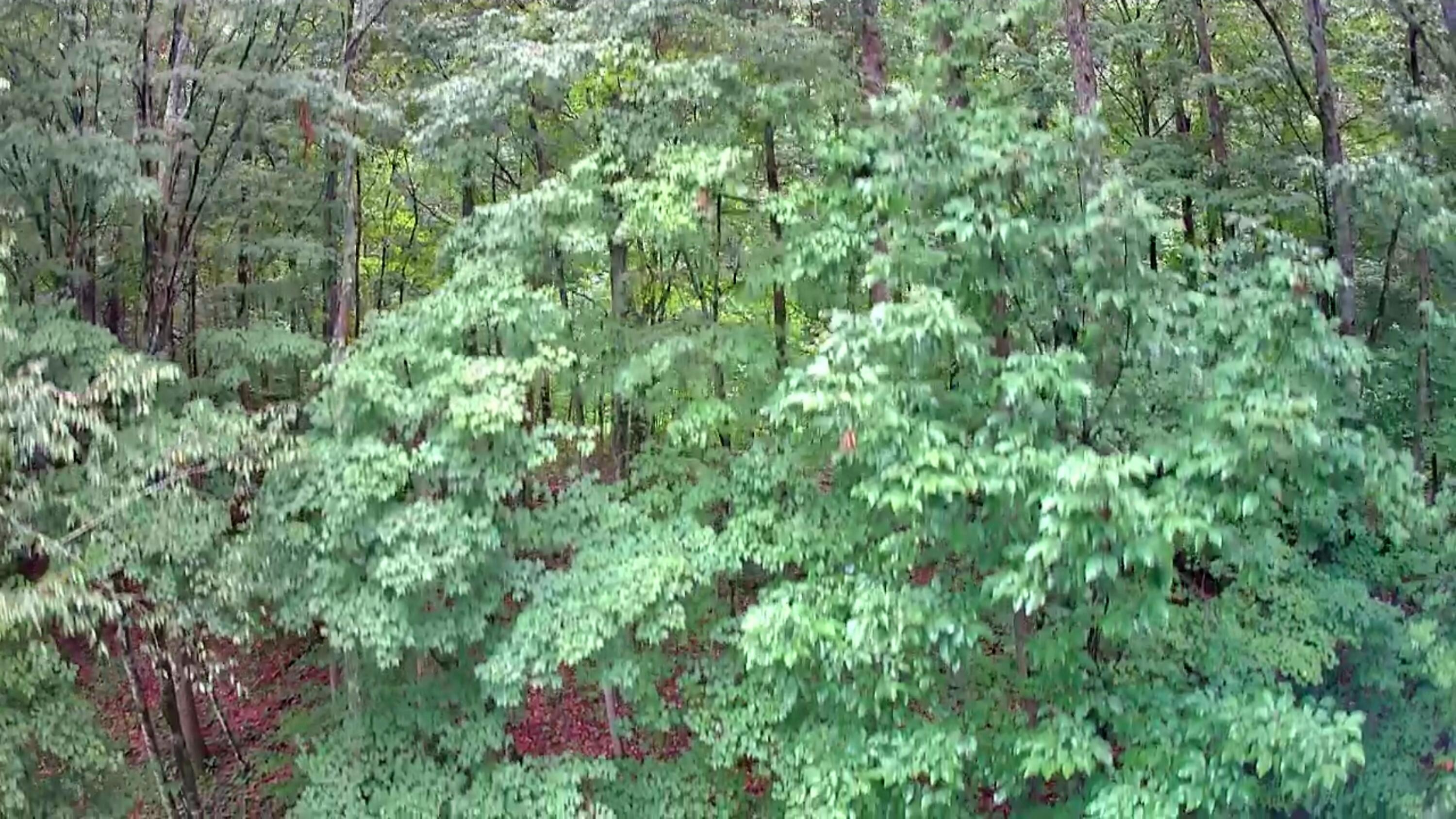 0 S Pittsburg Mountain Road