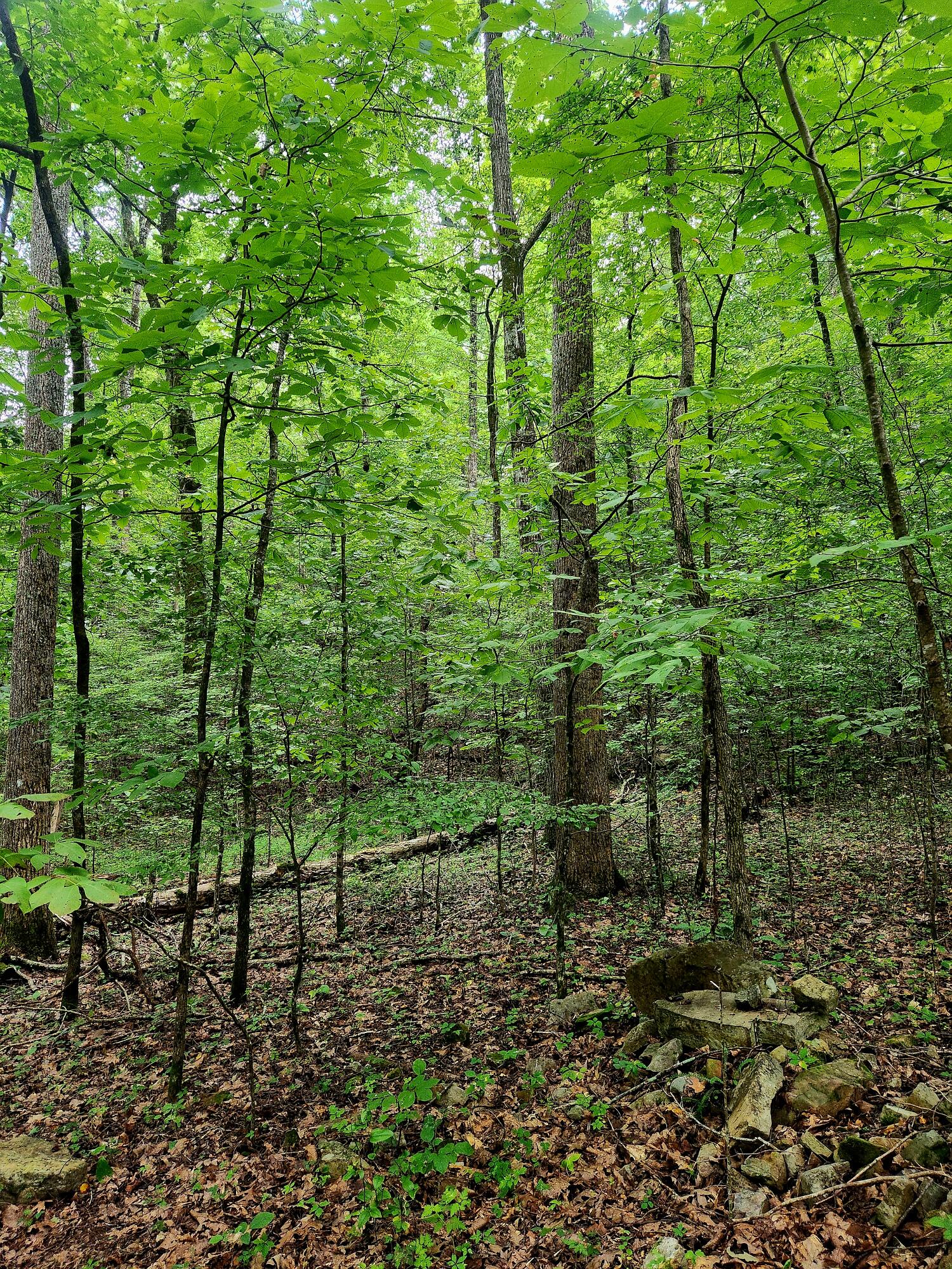 0 S Pittsburg Mountain Road