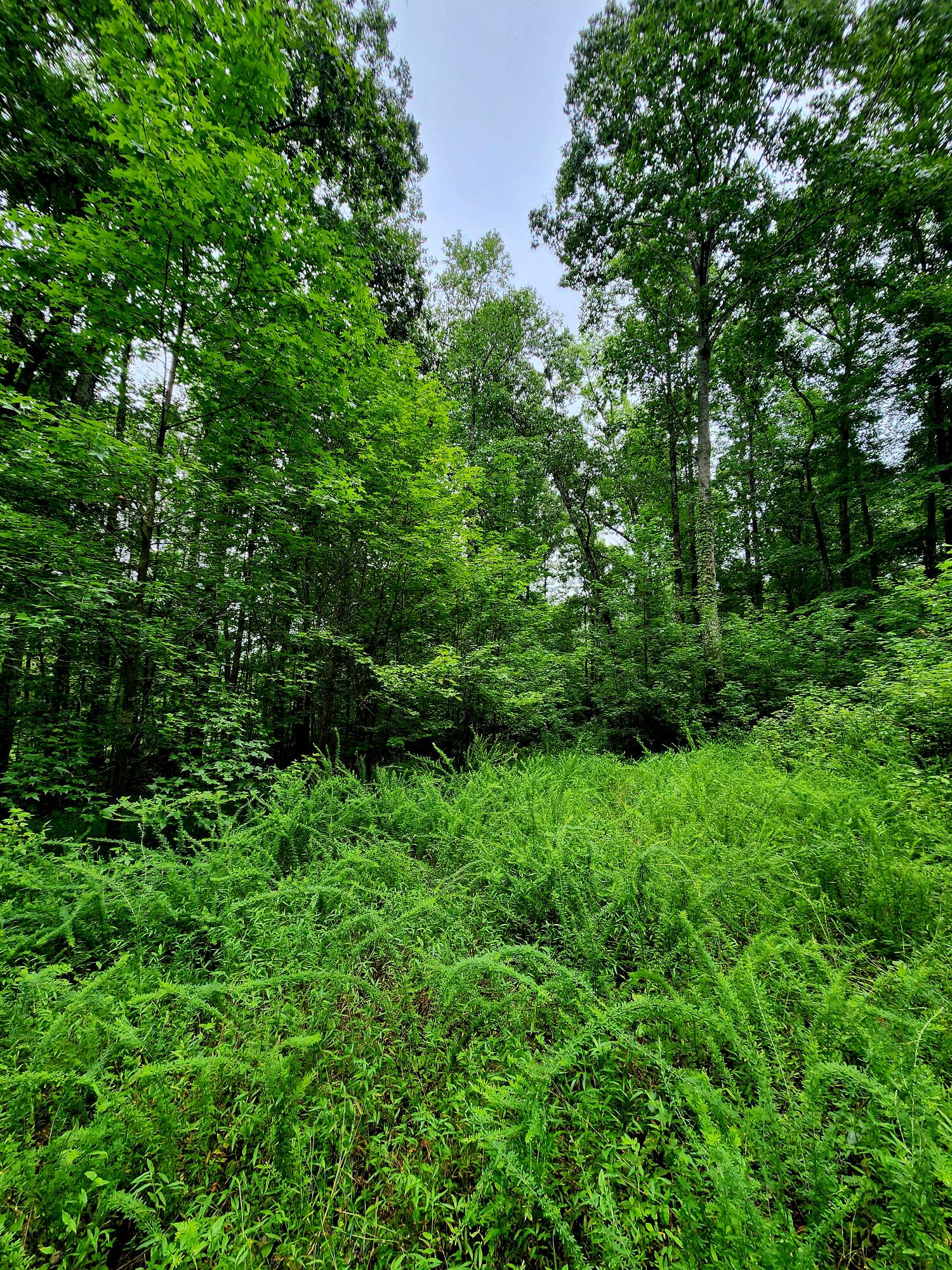 0 S Pittsburg Mountain Road