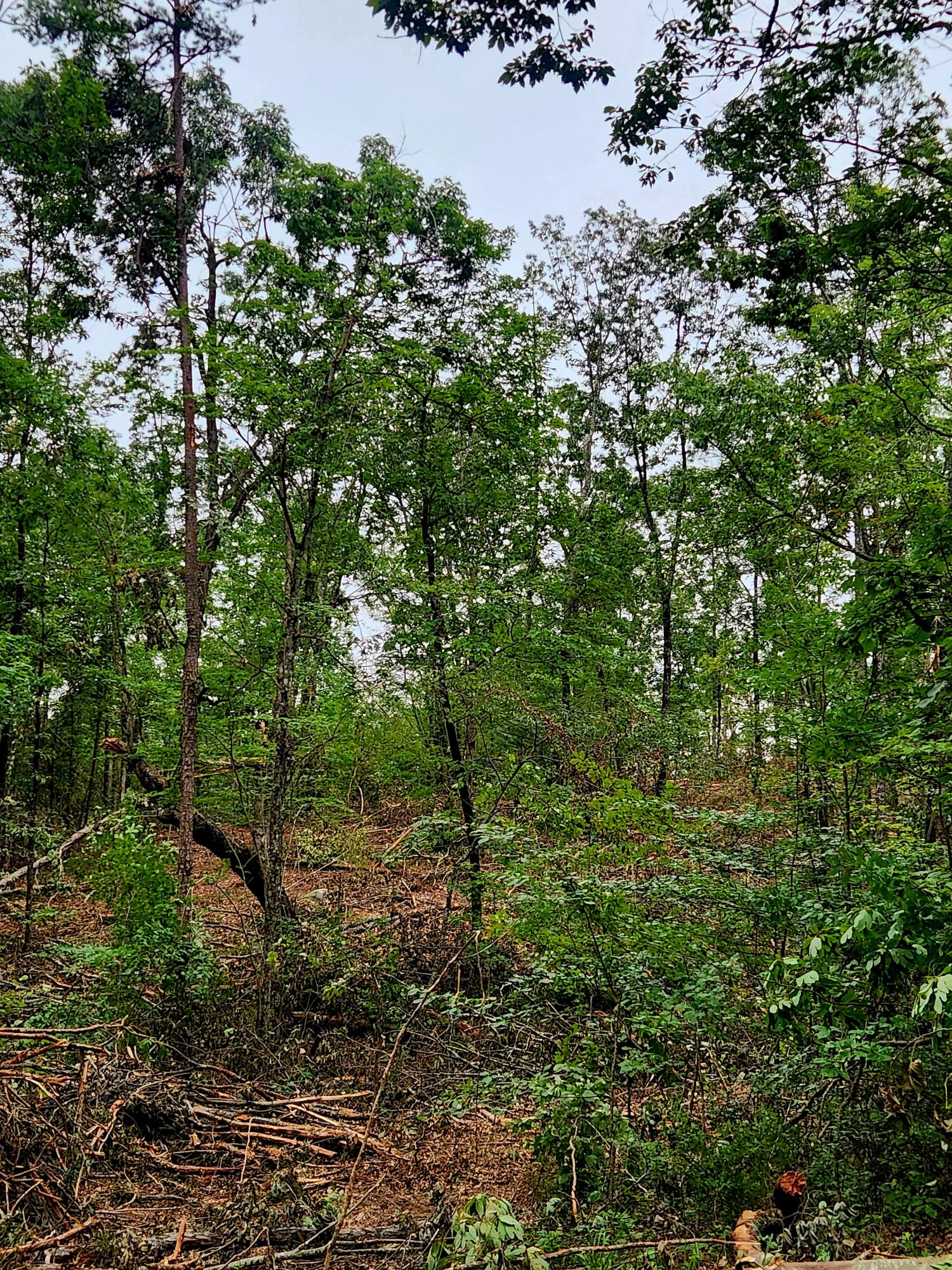 0 S Pittsburg Mountain Road