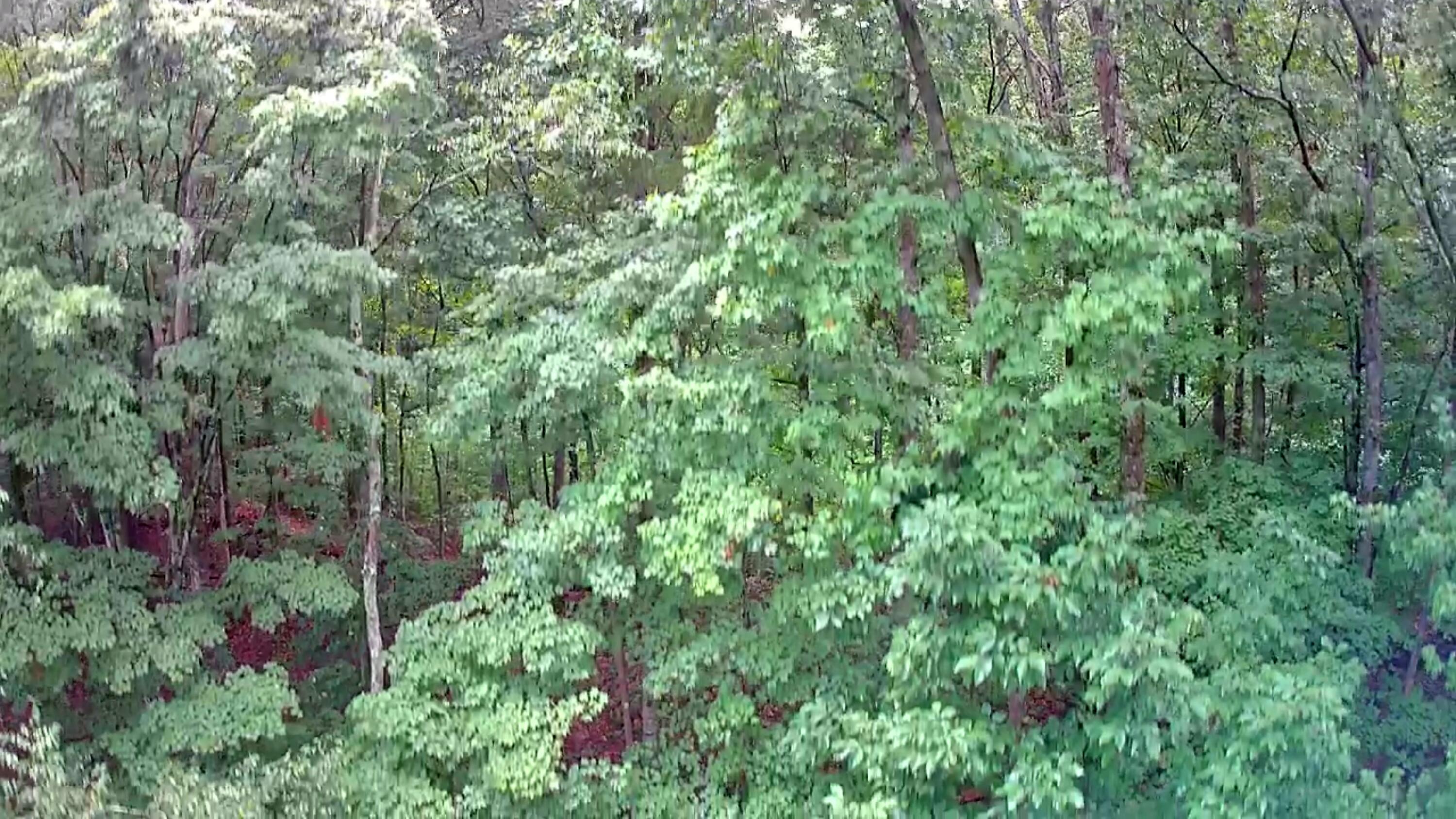 0 S Pittsburg Mountain Road