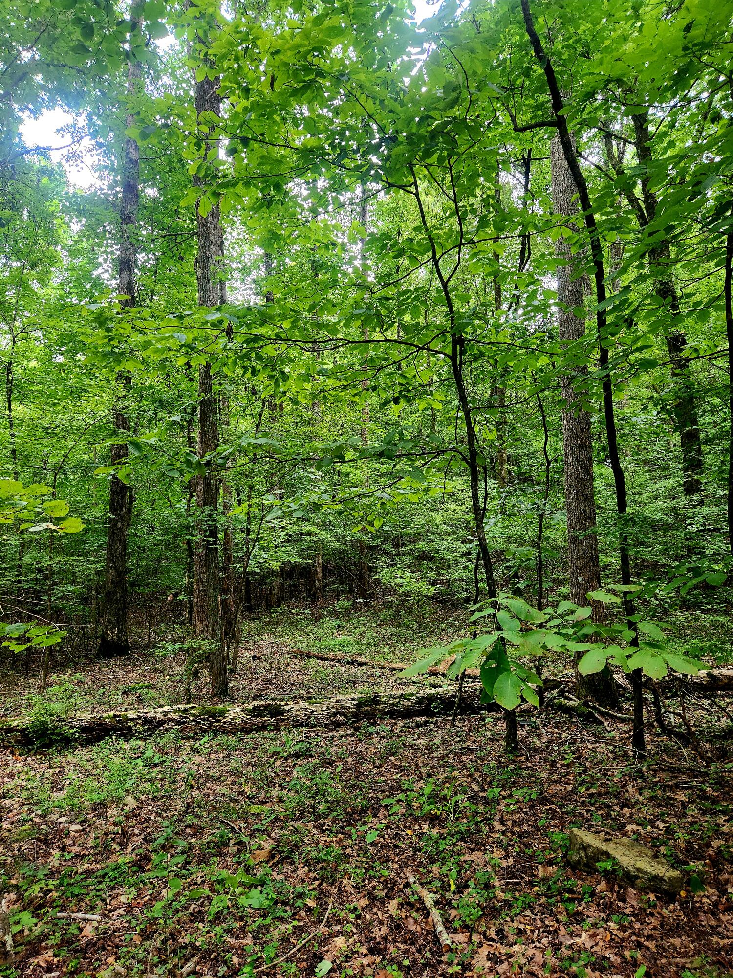 0 S Pittsburg Mountain Road