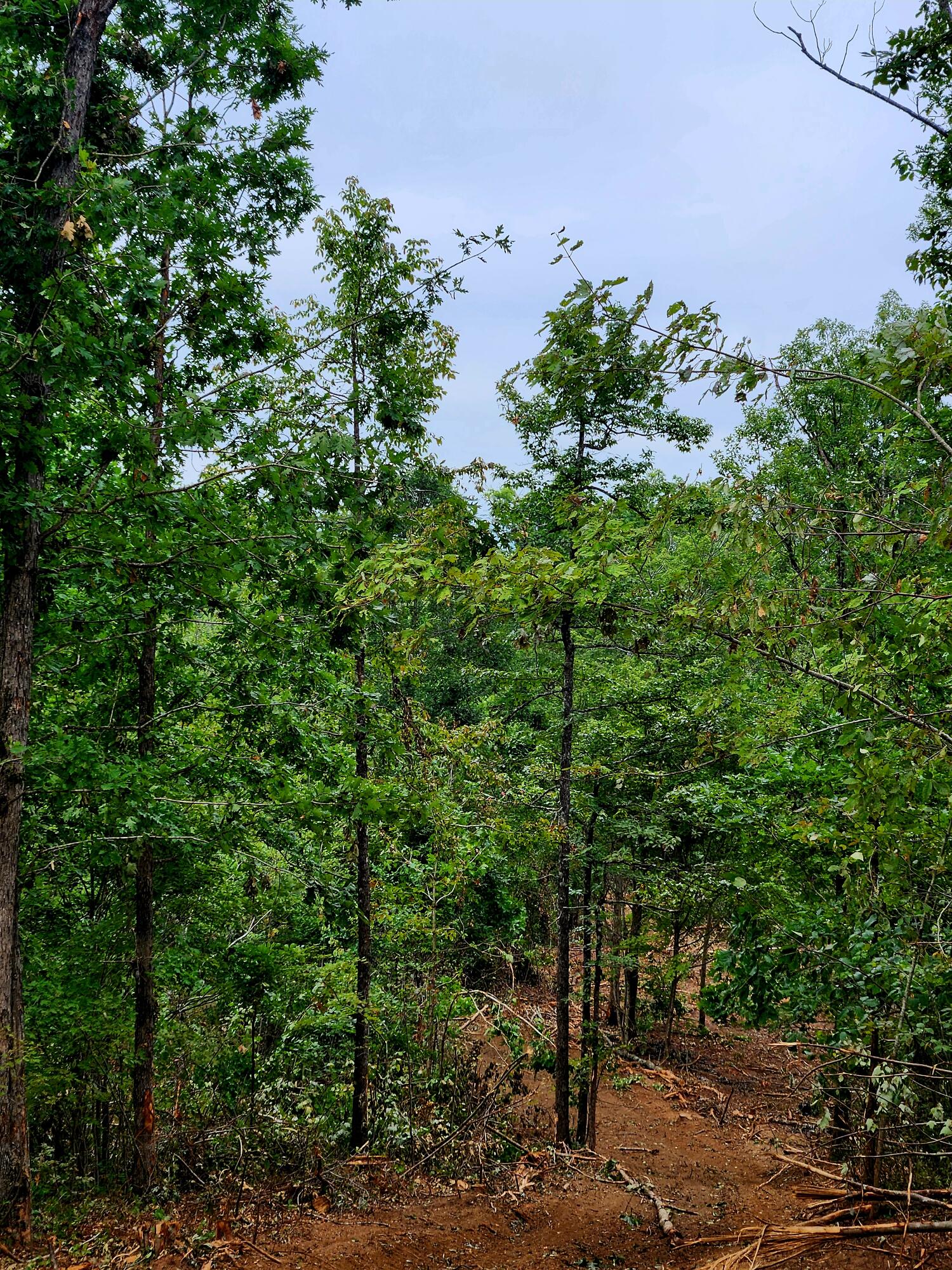 0 S Pittsburg Mountain Road