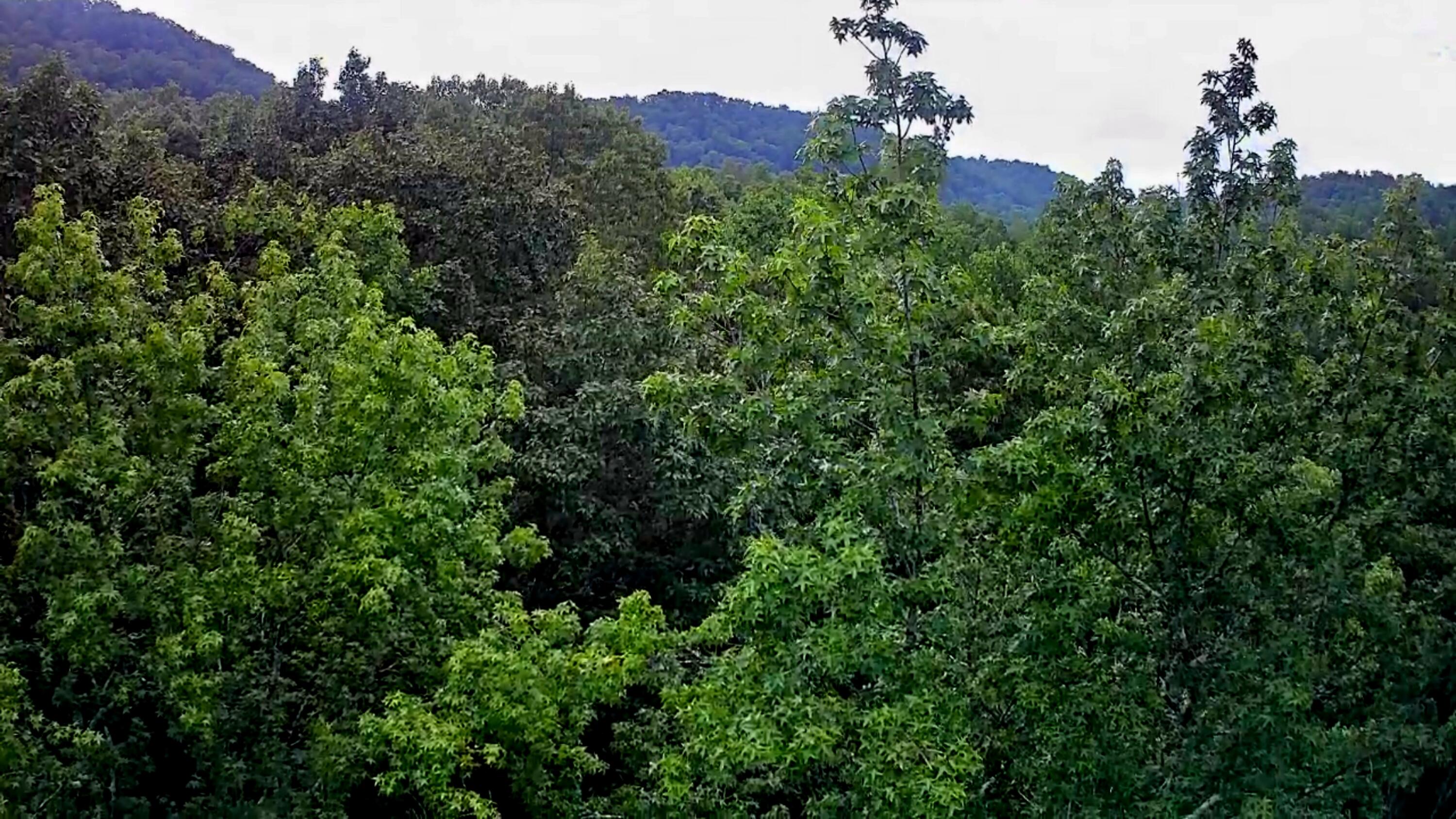 0 S Pittsburg Mountain Road