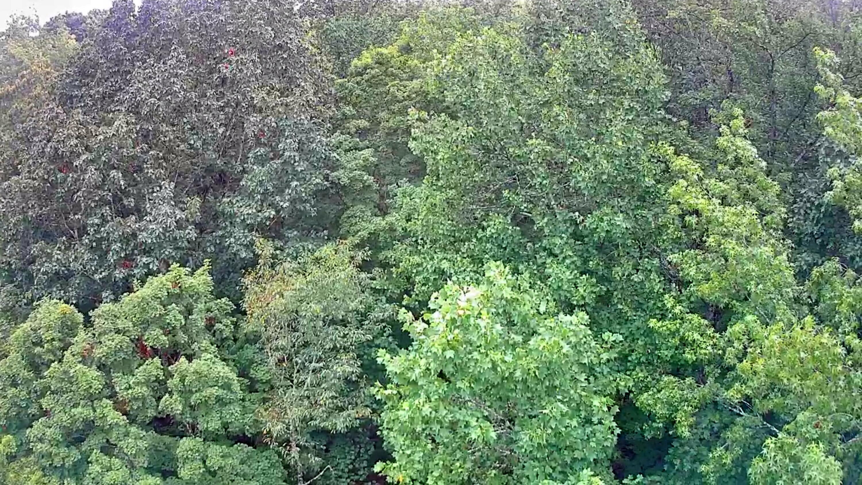 0 S Pittsburg Mountain Road