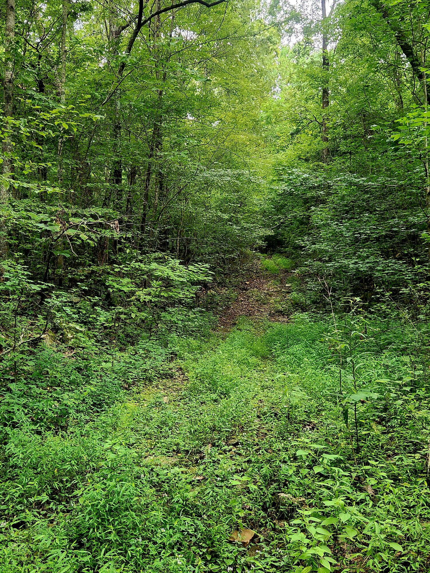 0 S Pittsburg Mountain Road