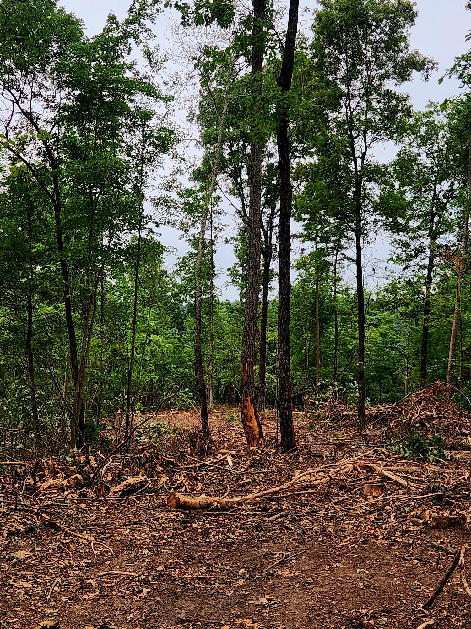 0 S Pittsburg Mountain Road