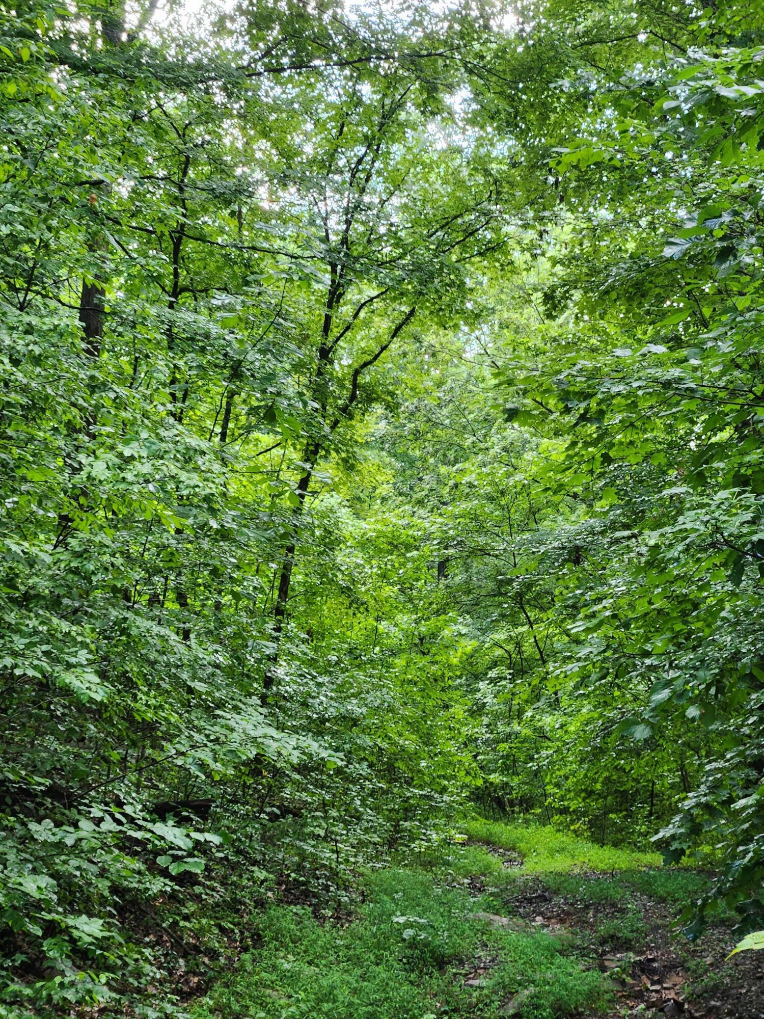 0 S Pittsburg Mountain Road