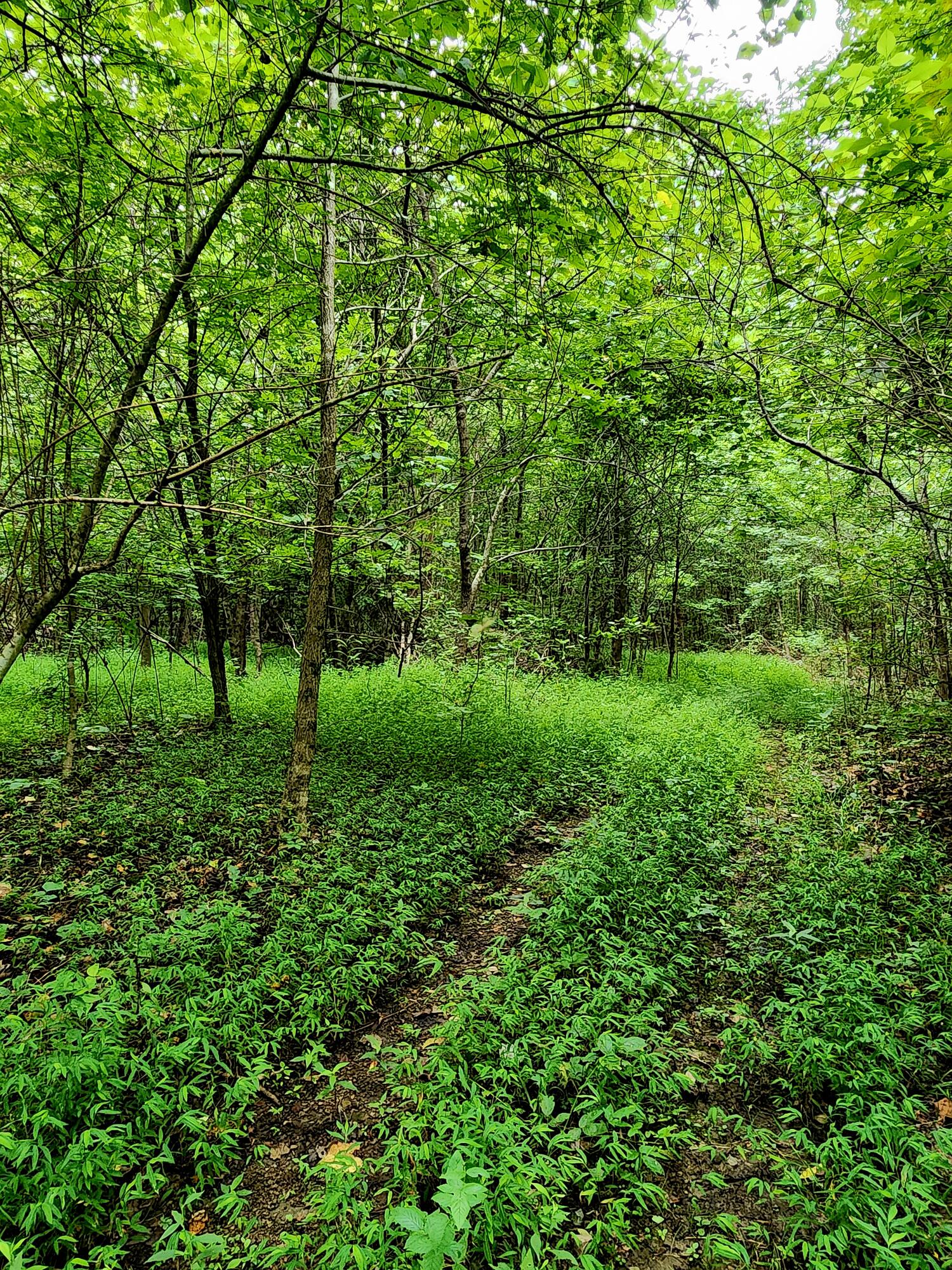 0 S Pittsburg Mountain Road