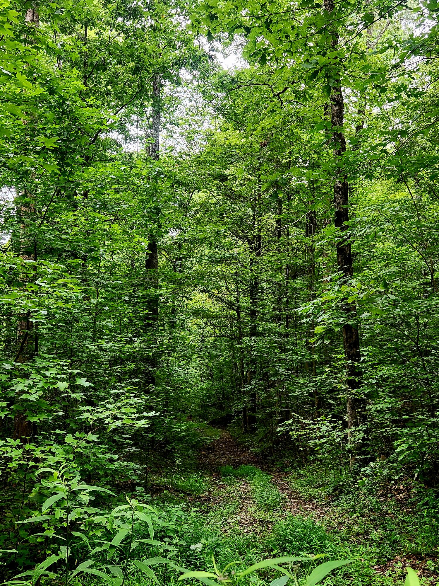 0 S Pittsburg Mountain Road