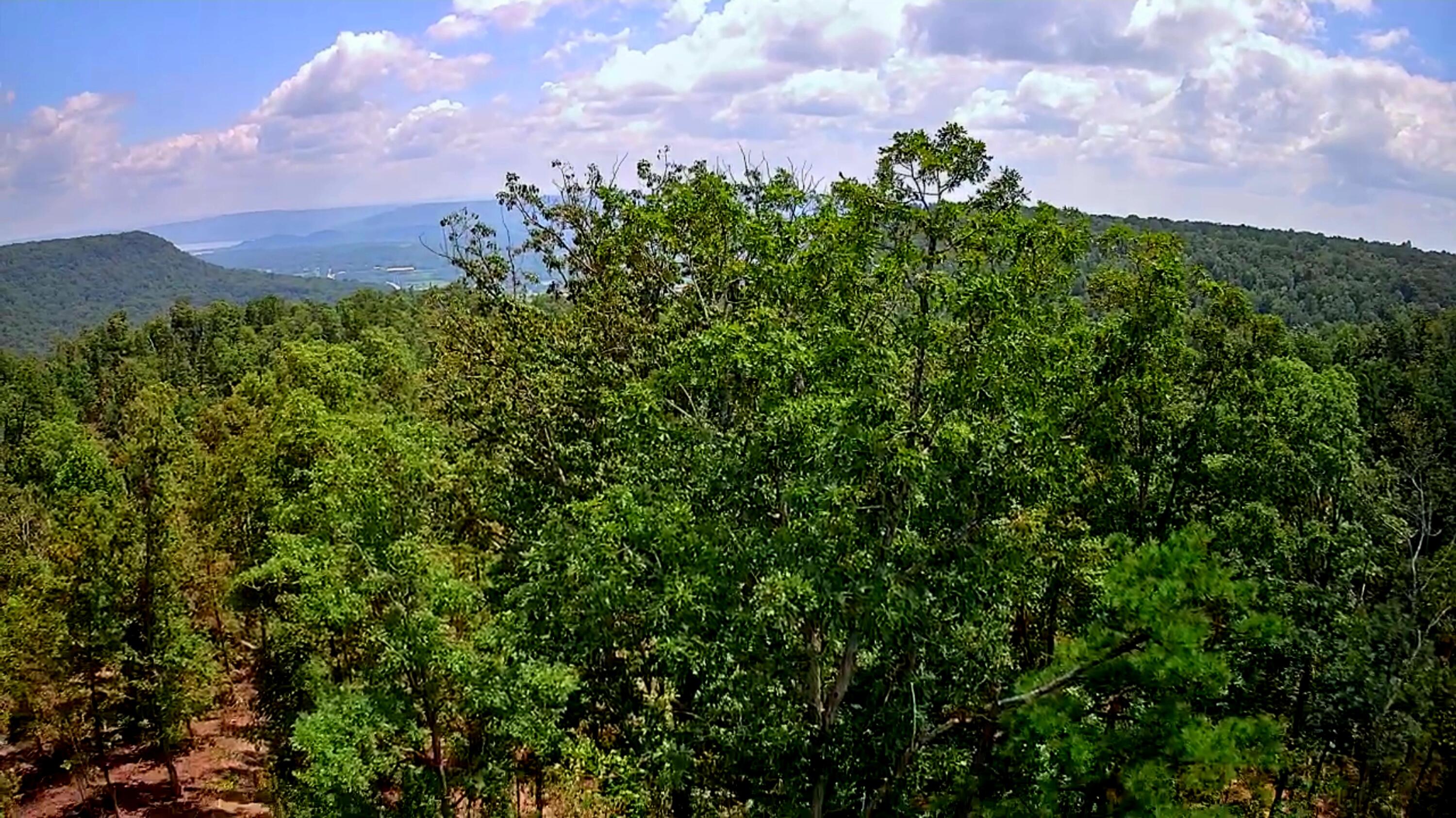 0 S Pittsburg Mountain Road