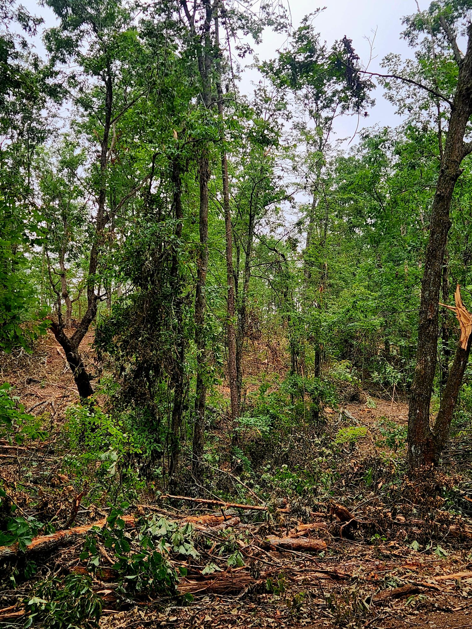 0 S Pittsburg Mountain Road