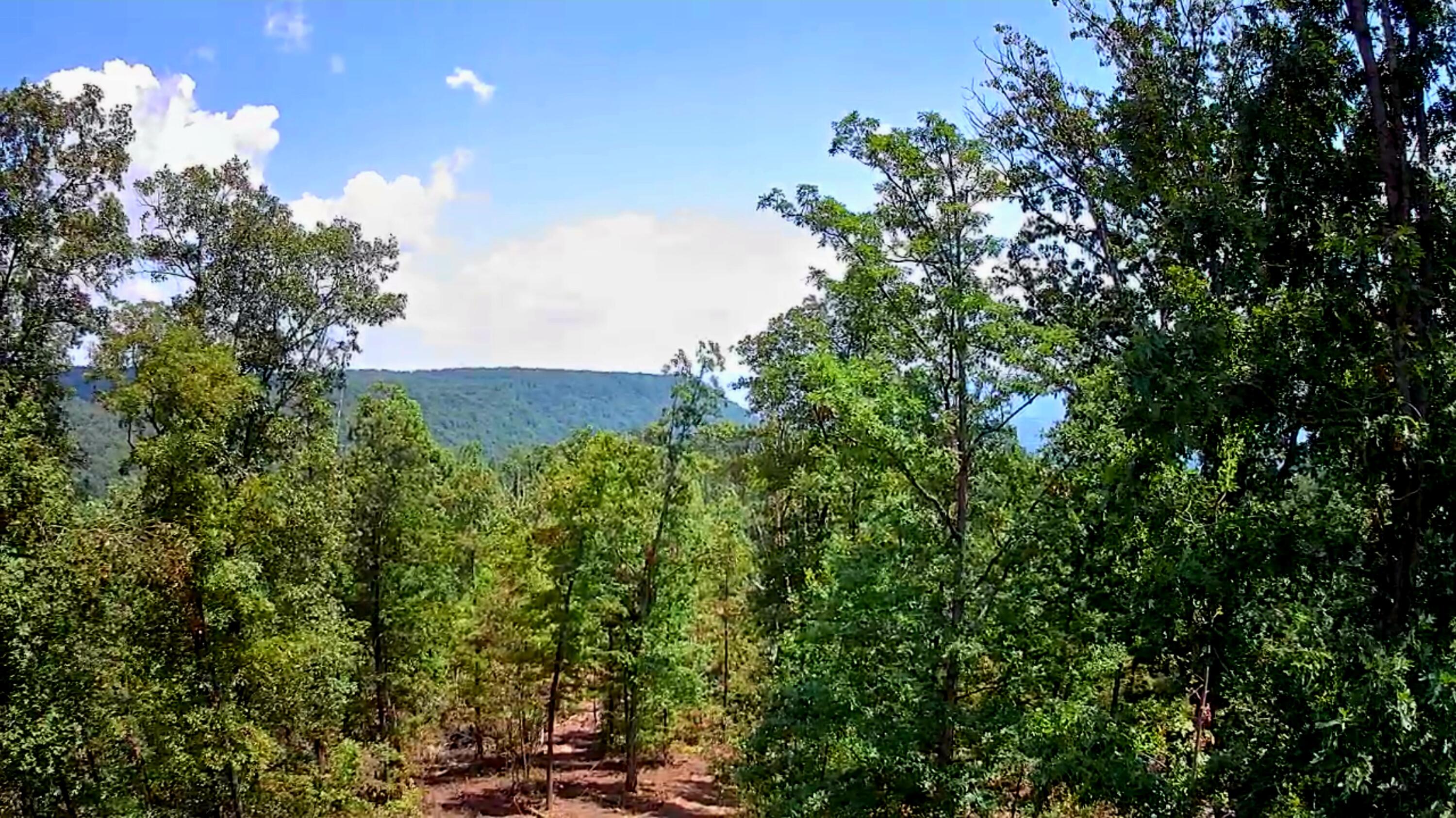 0 S Pittsburg Mountain Road