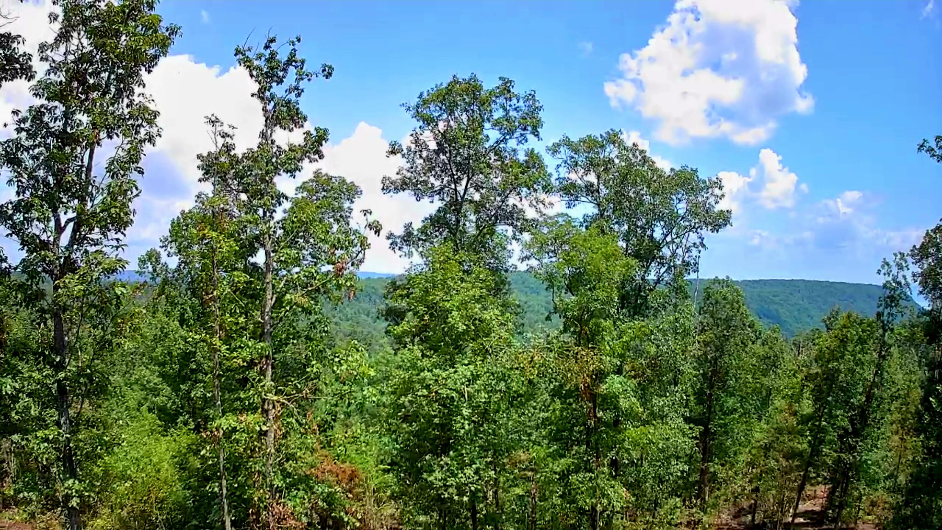 0 S Pittsburg Mountain Road