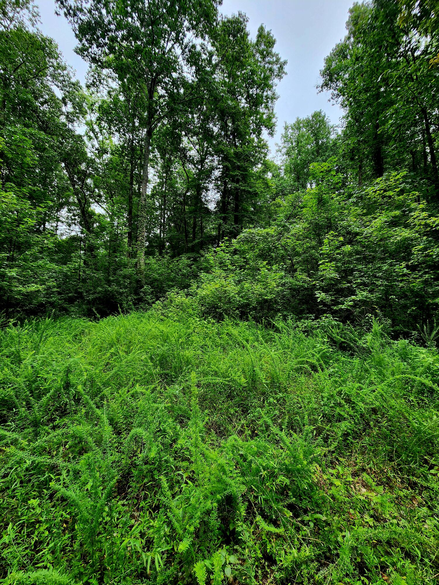 0 S Pittsburg Mountain Road