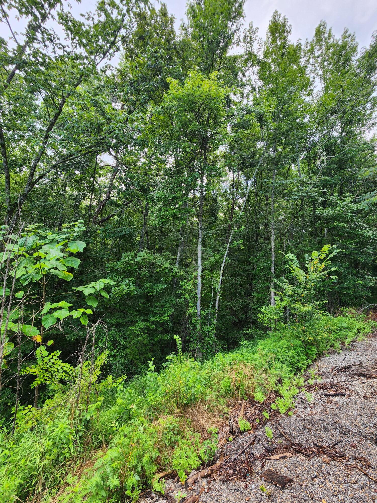 0 S Pittsburg Mountain Road