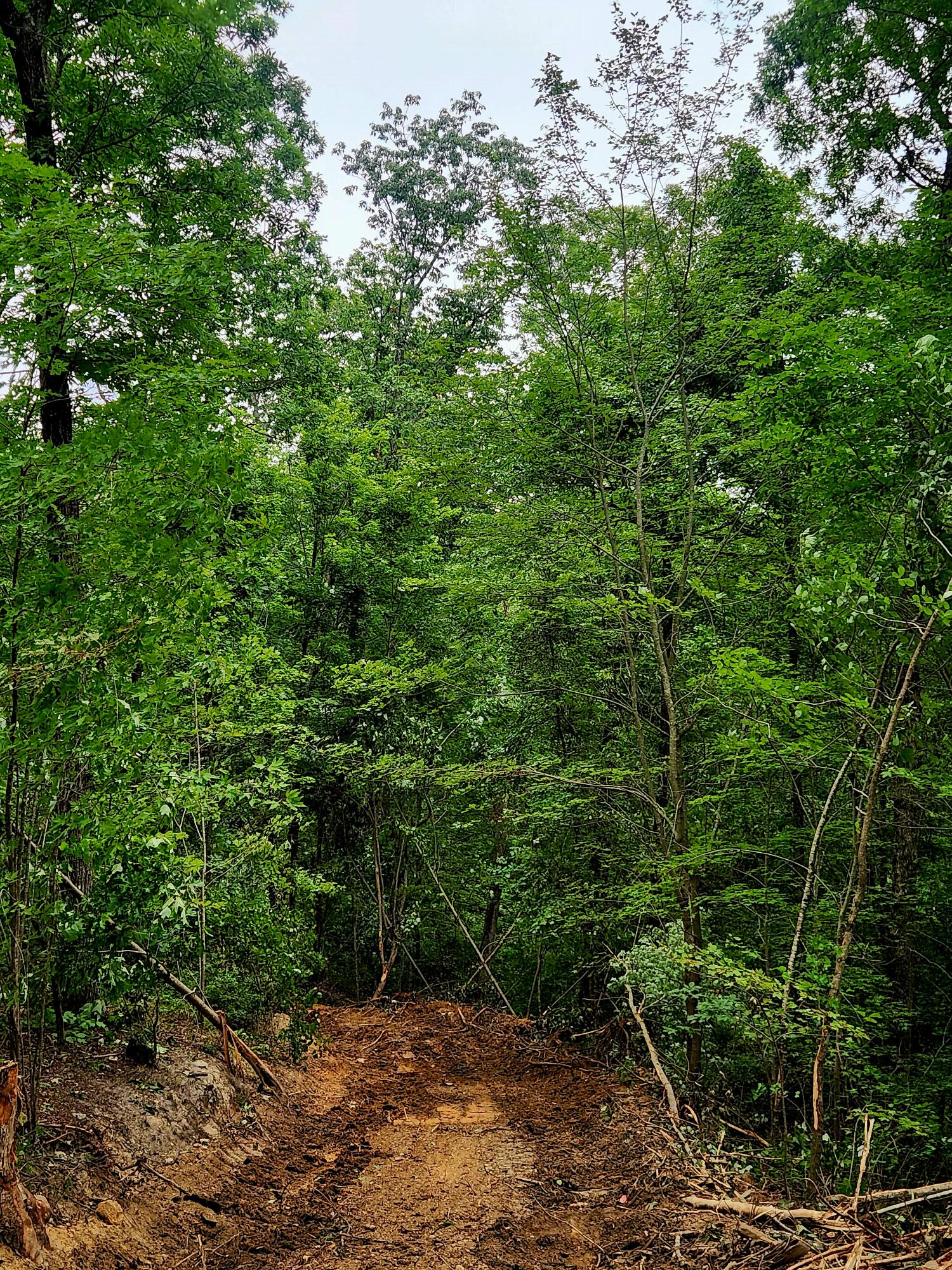 0 S Pittsburg Mountain Road