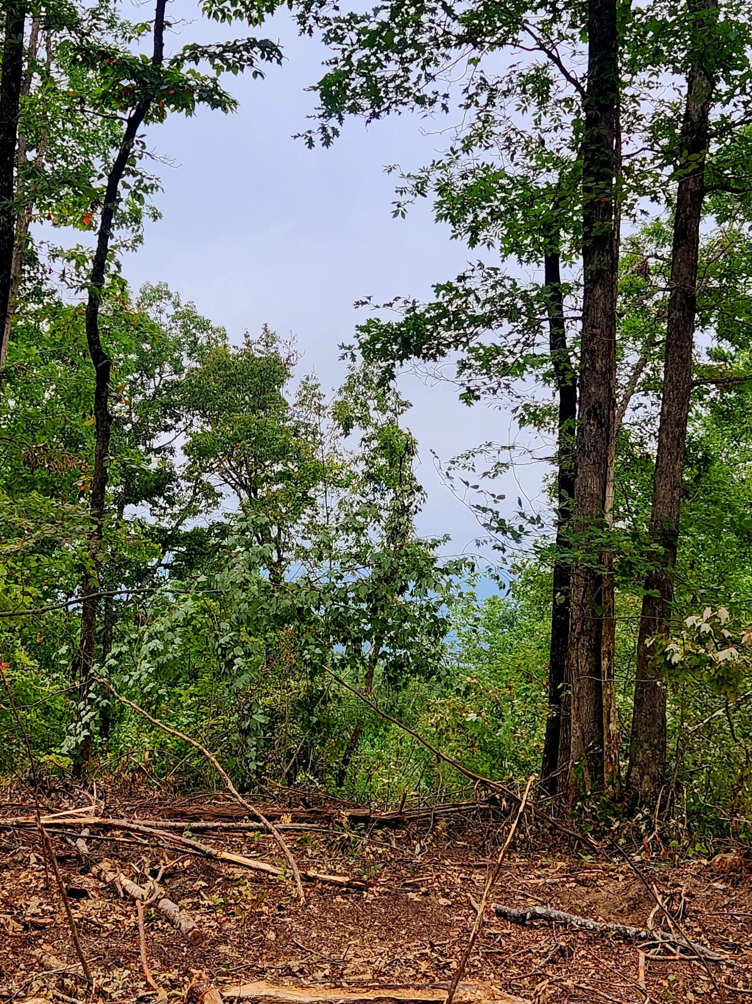 0 S Pittsburg Mountain Road