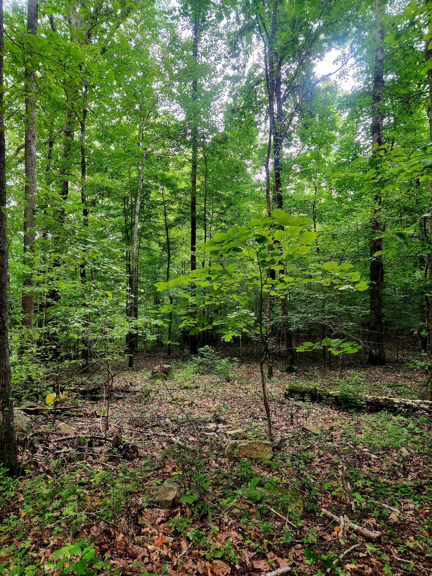 0 S Pittsburg Mountain Road