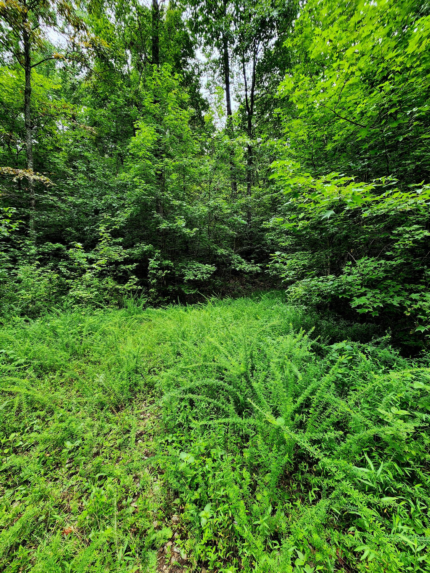 0 S Pittsburg Mountain Road